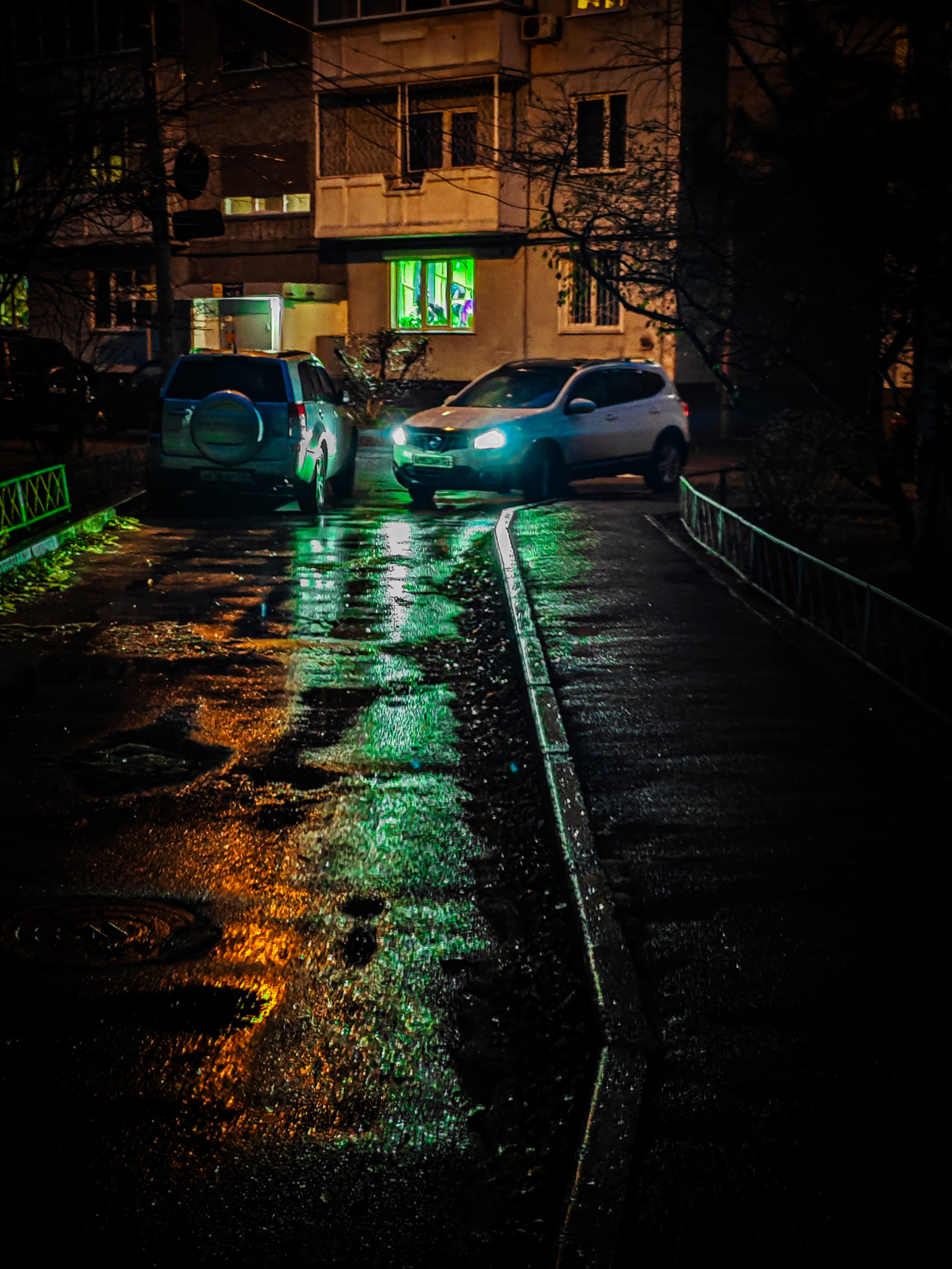 Осенние листья. Игорь Урывский. Фотограф Красноярск