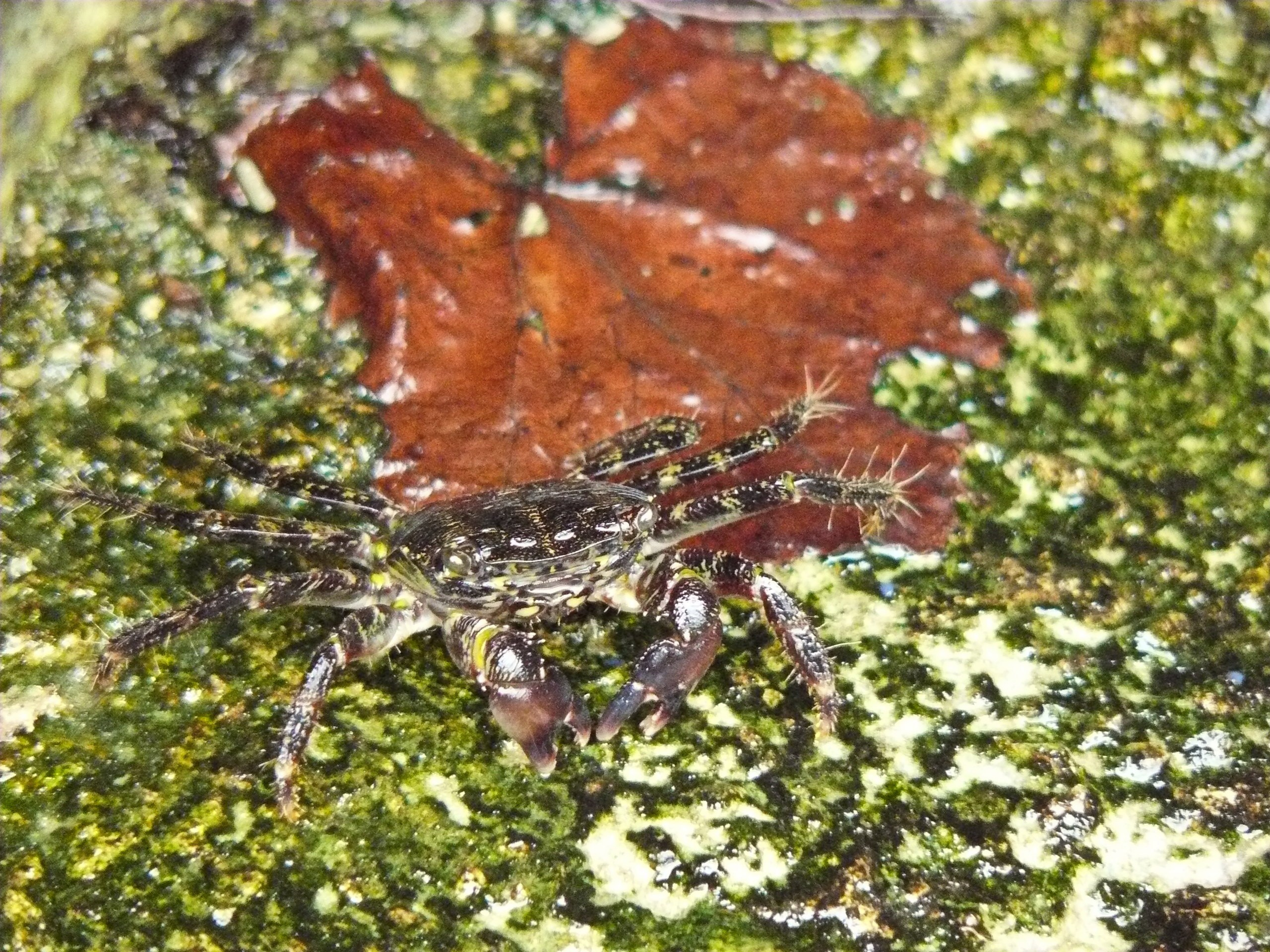 Анталия 2010. Фотопрогулки по Миру