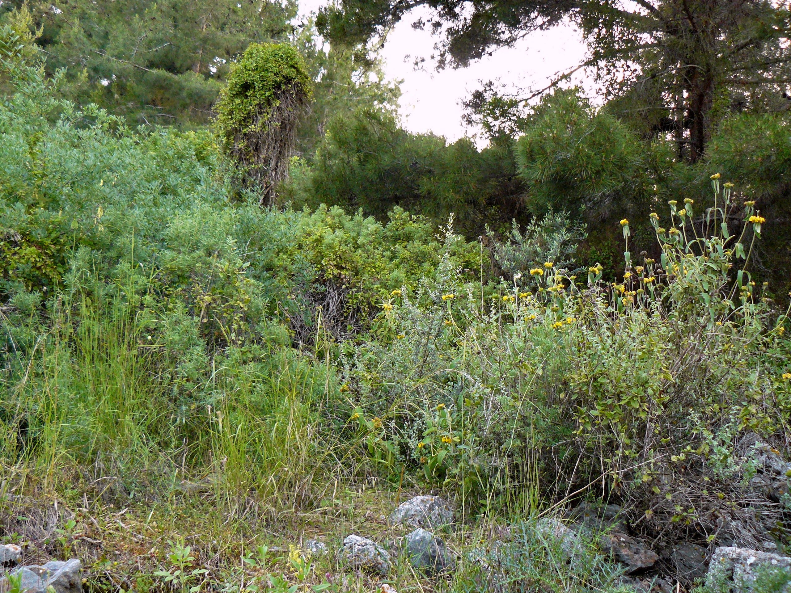 Алания 2014 старая крепость. Фотопрогулки по Миру