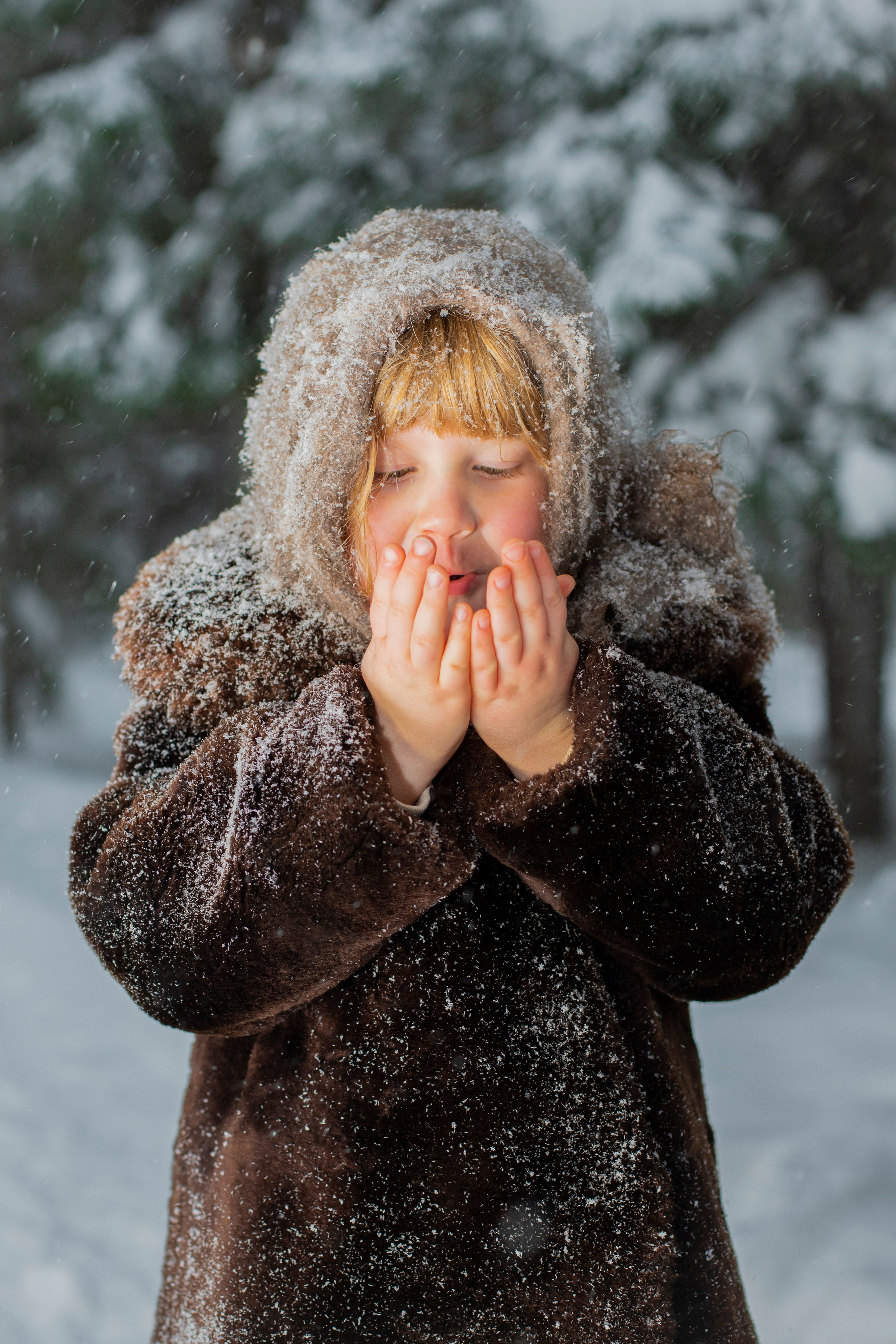 Зимний лес. Семейный и детский фотограф Кривутина Юлия