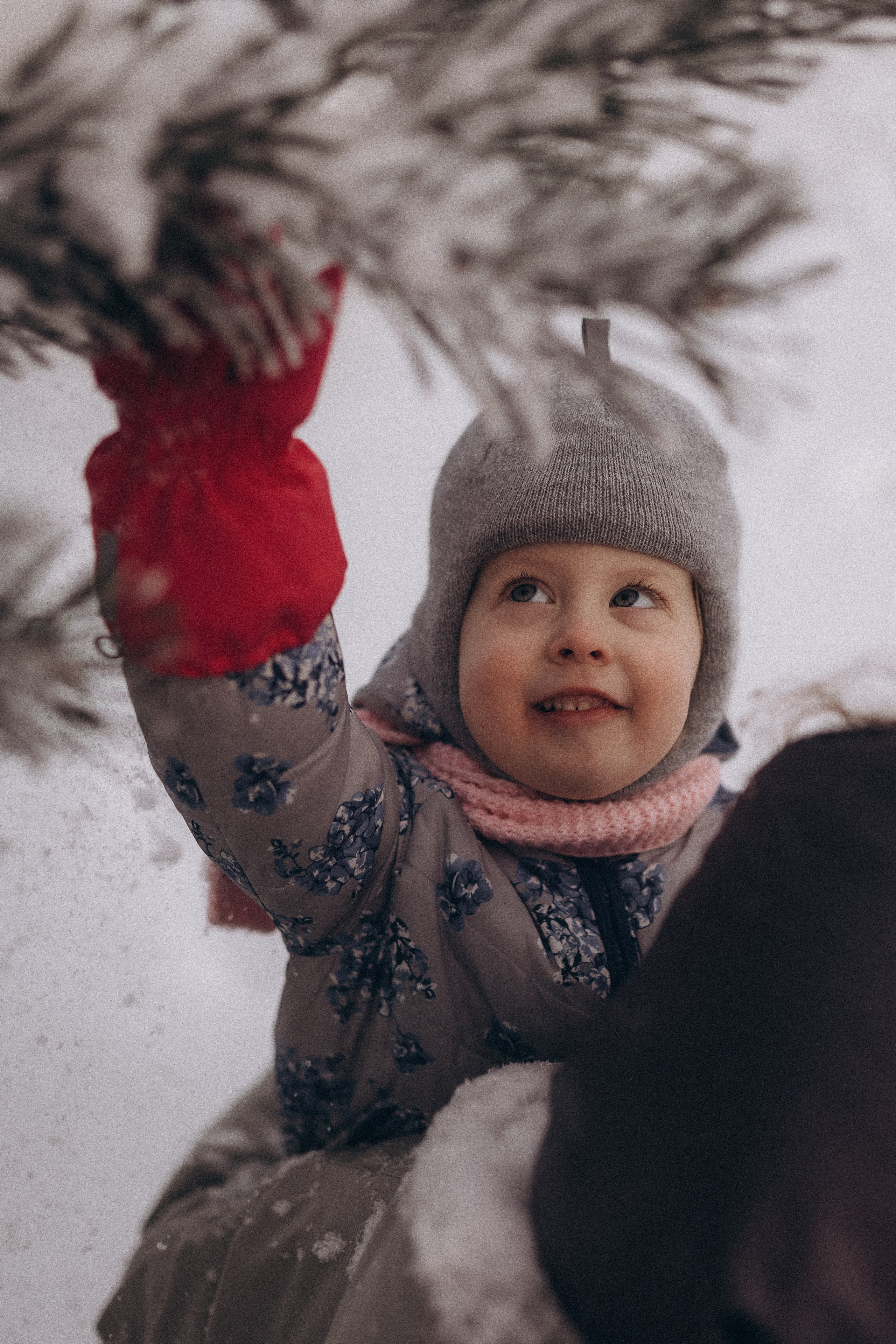 Предновогодняя суета. Фотограф из Петербурга