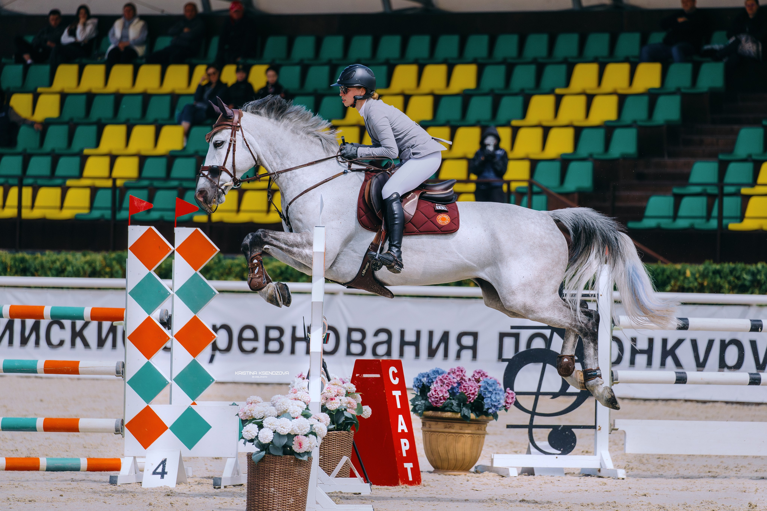 Турниры. Фотограф-анималист Ксендзова Кристина