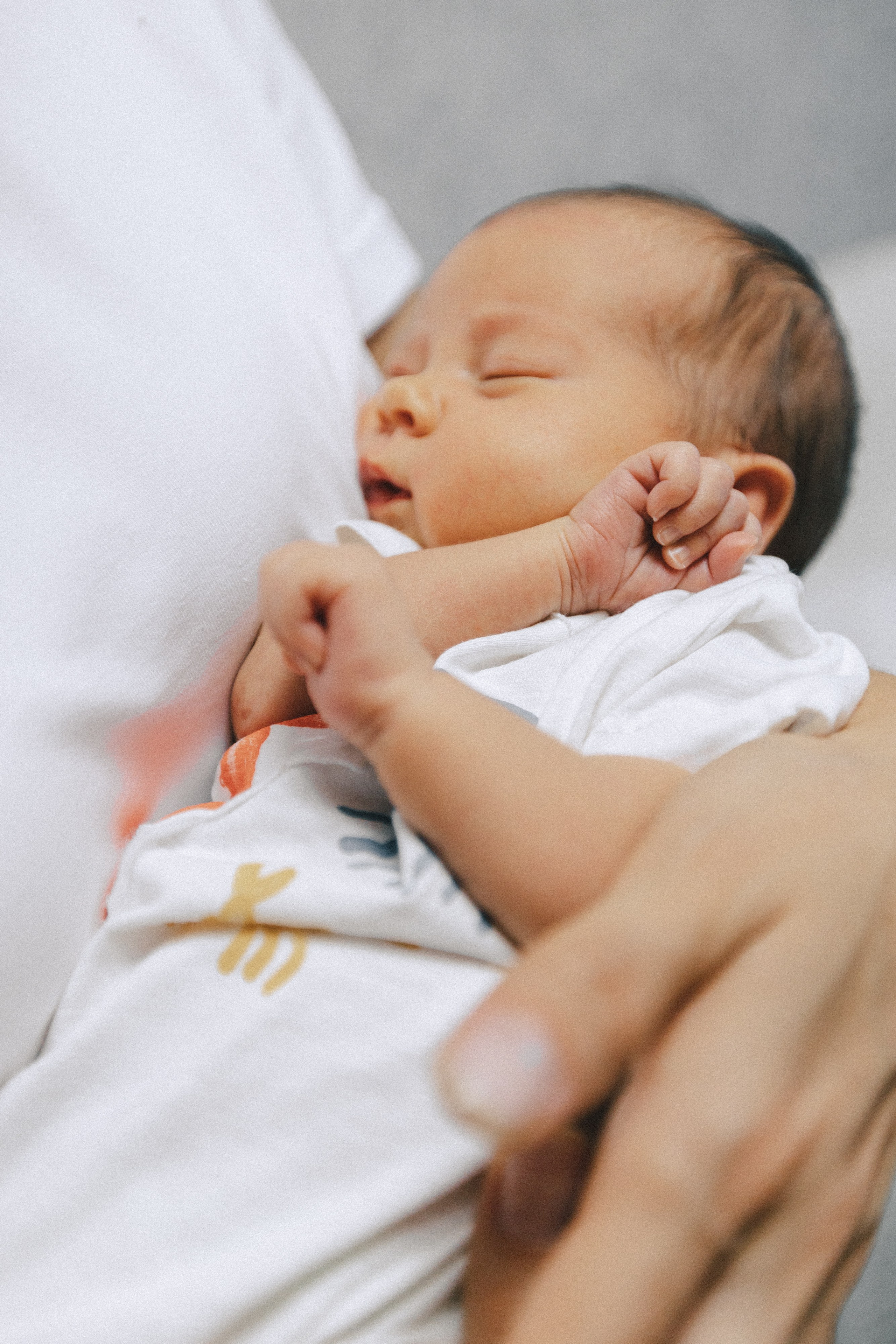 Ира, Леша, Максим и Майя. Фотограф Таганрог Любимая Надя