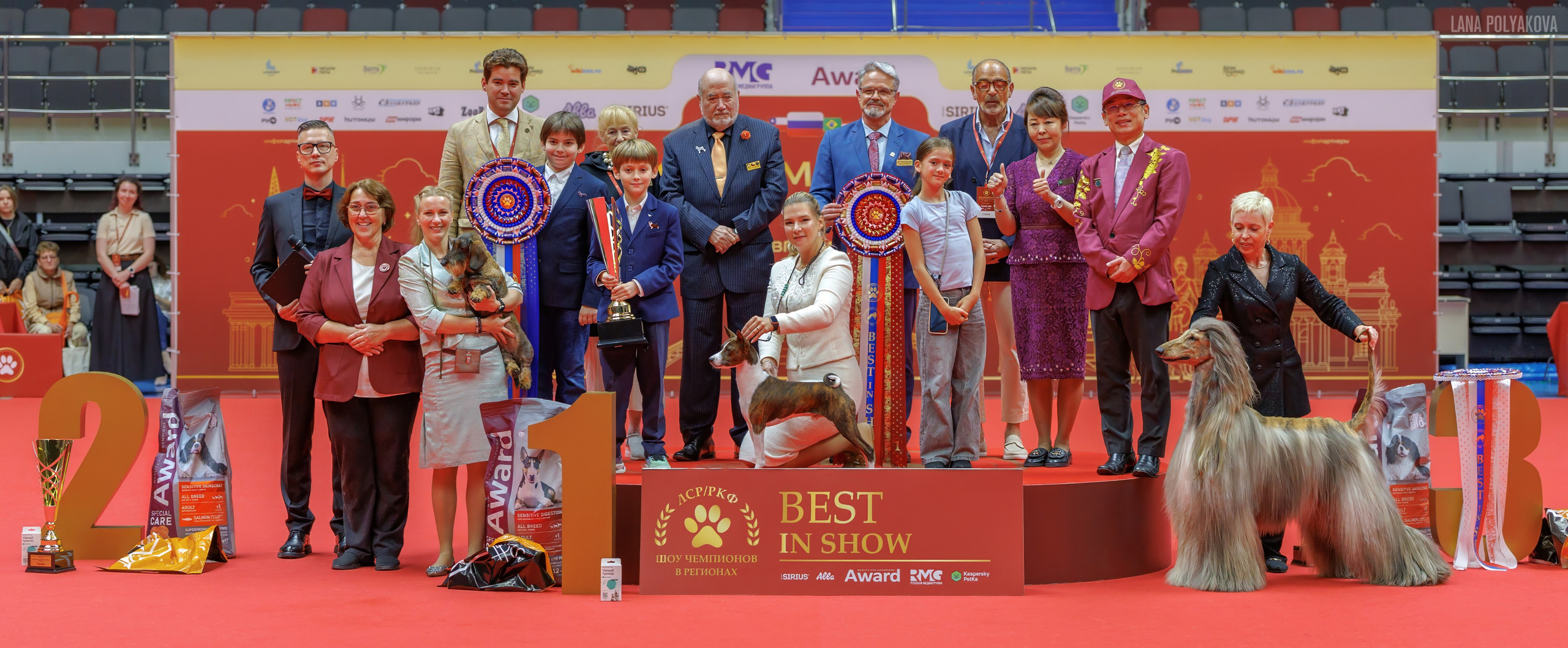 Кольский п-в, сентябрь 2019. ФОТОГРАФ-АНИМАЛИСТ l LANA POLYAKOVA