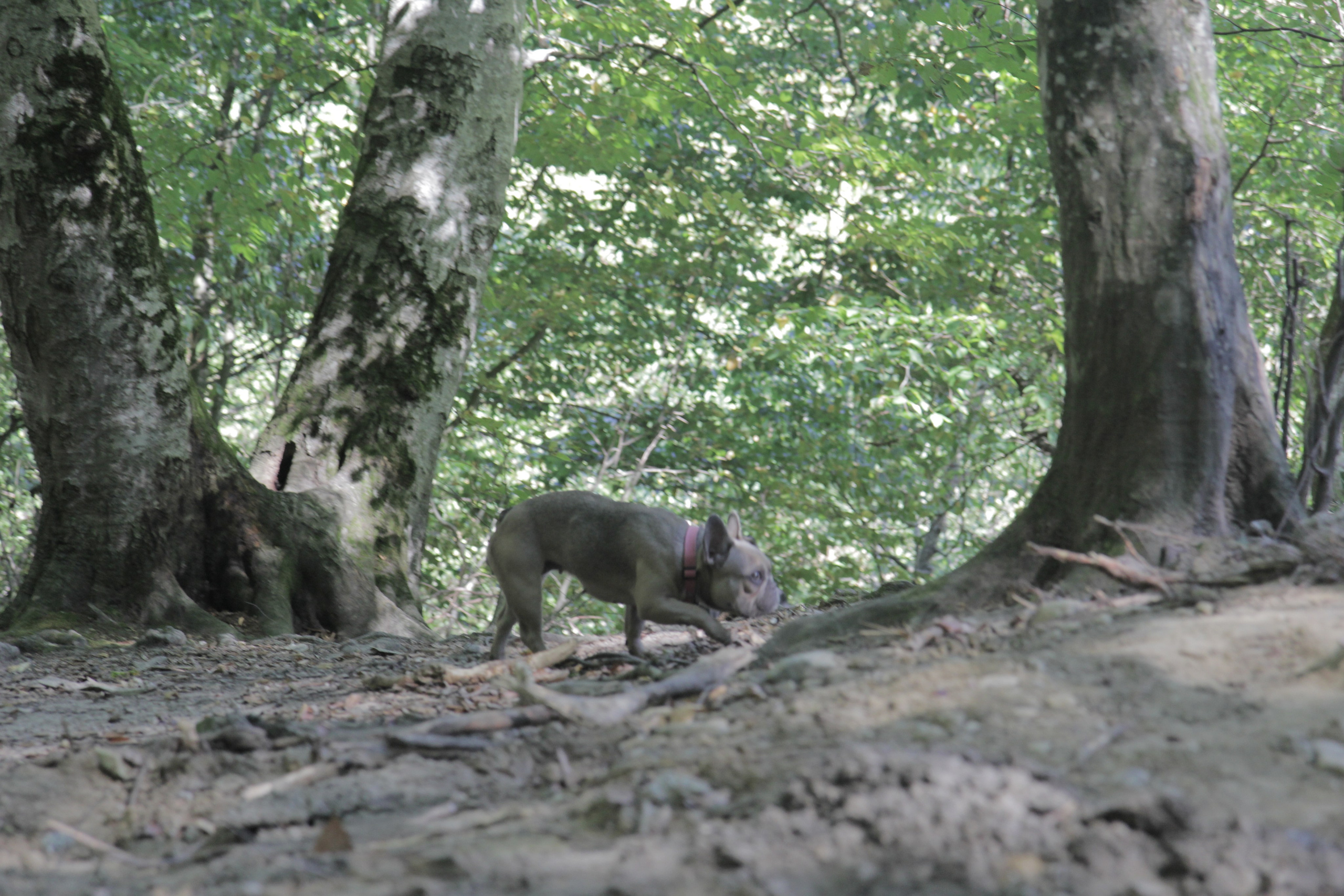 Горячий Ключ (2024-09-22). Собор Отрасли