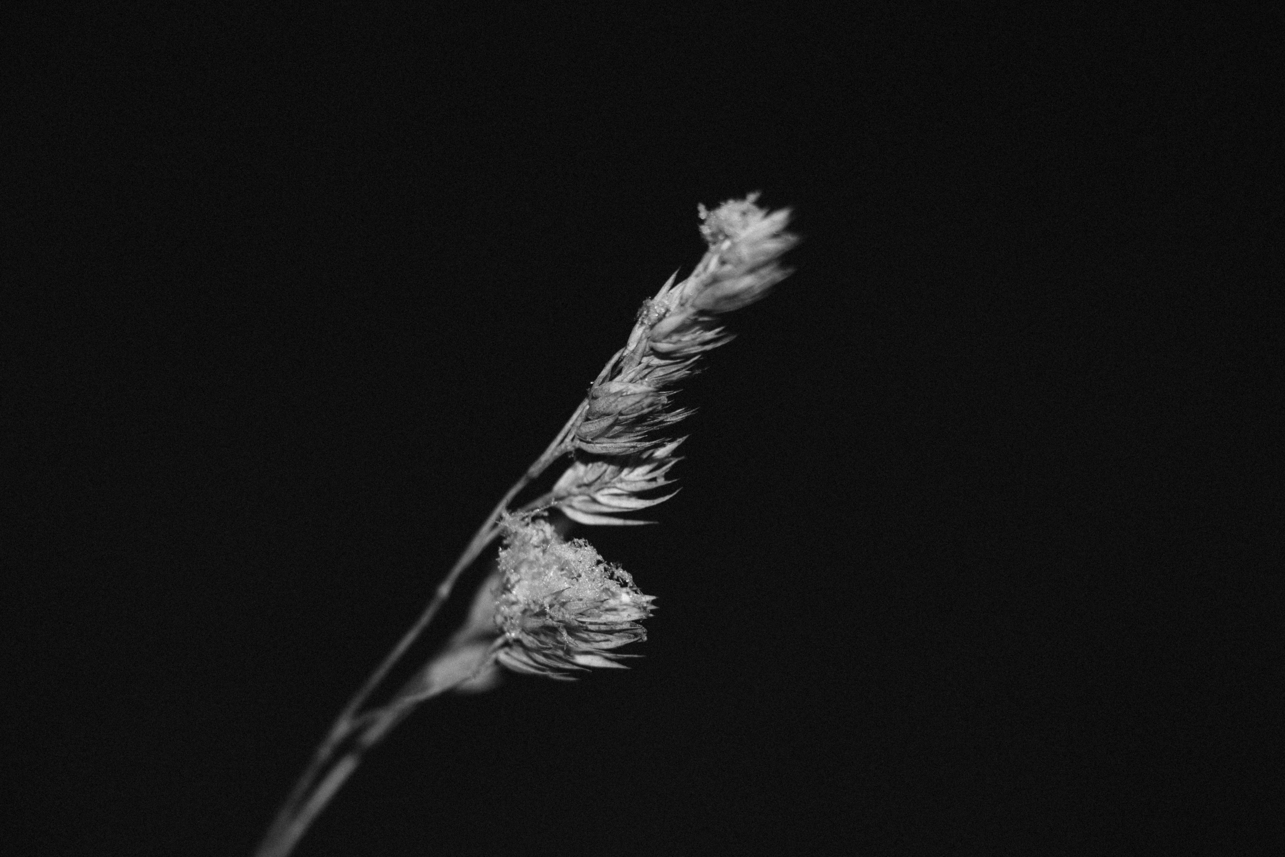 Интимный пейзаж. Олег Романов. Мастер фото по спорту