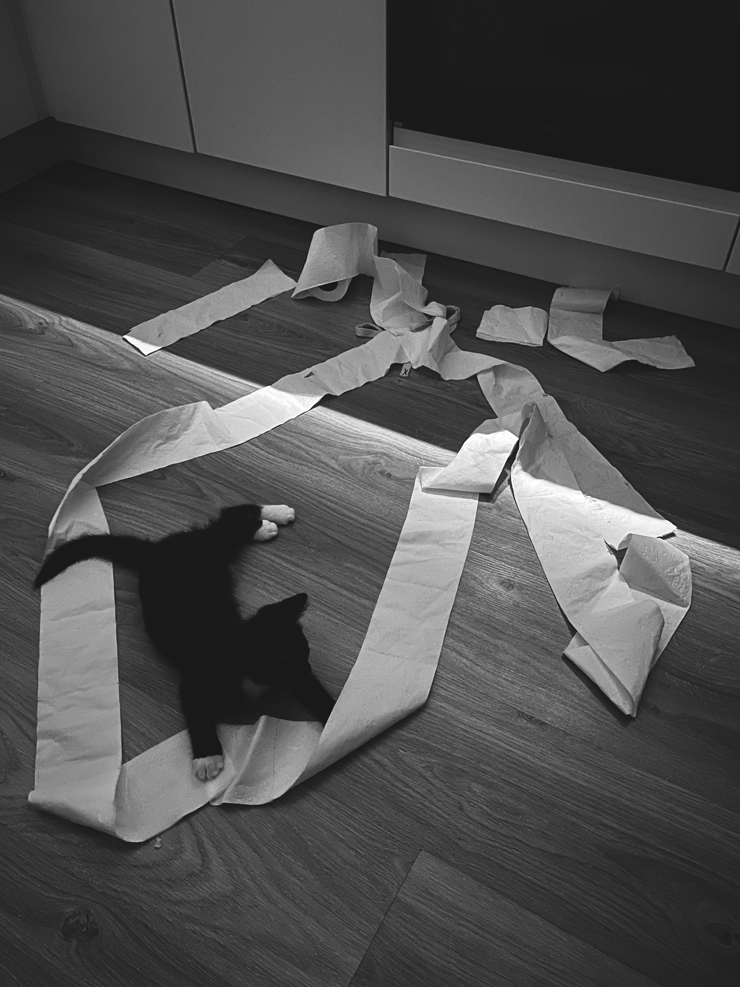 Визуальный дневник. Портретный фотограф в Москве Гахраманова Екатерина