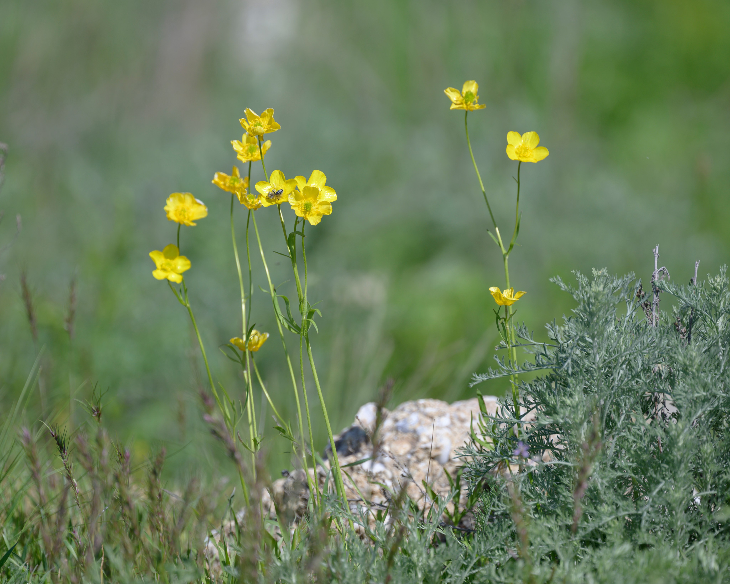Оренбуржье. Портретный фотограф в Челябинске Катерина Руди
