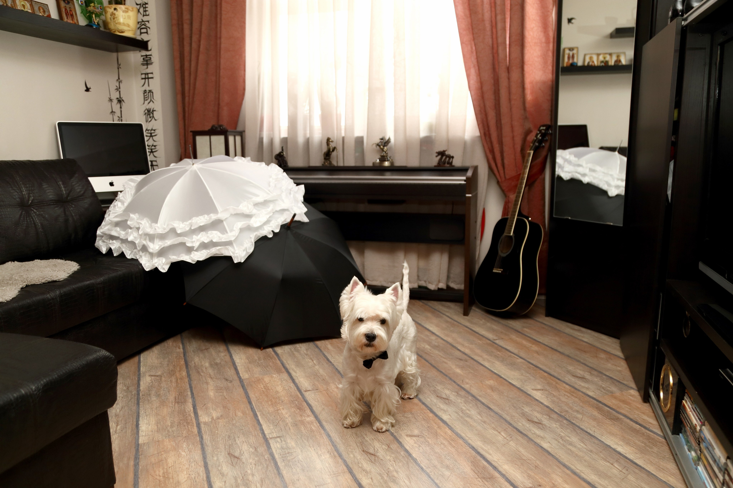 Катя и Дима. Фотограф Лагутин Анатолий