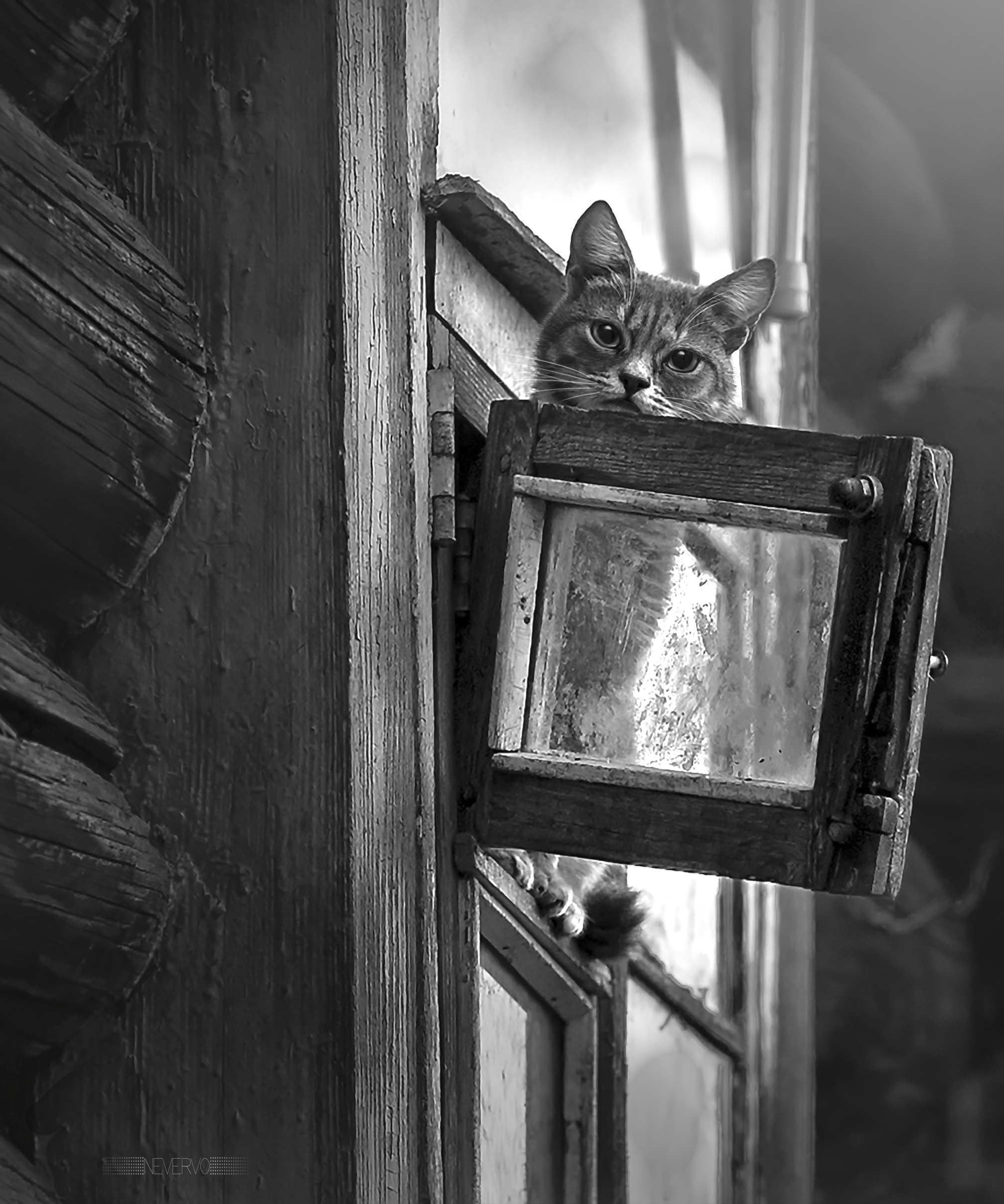 Черно-белая фотосъемка. B&W съемка в Москве. ЧБ фотограф Олег Голишник. Арт-фотограф Олег Голишников. Творческая мастерская