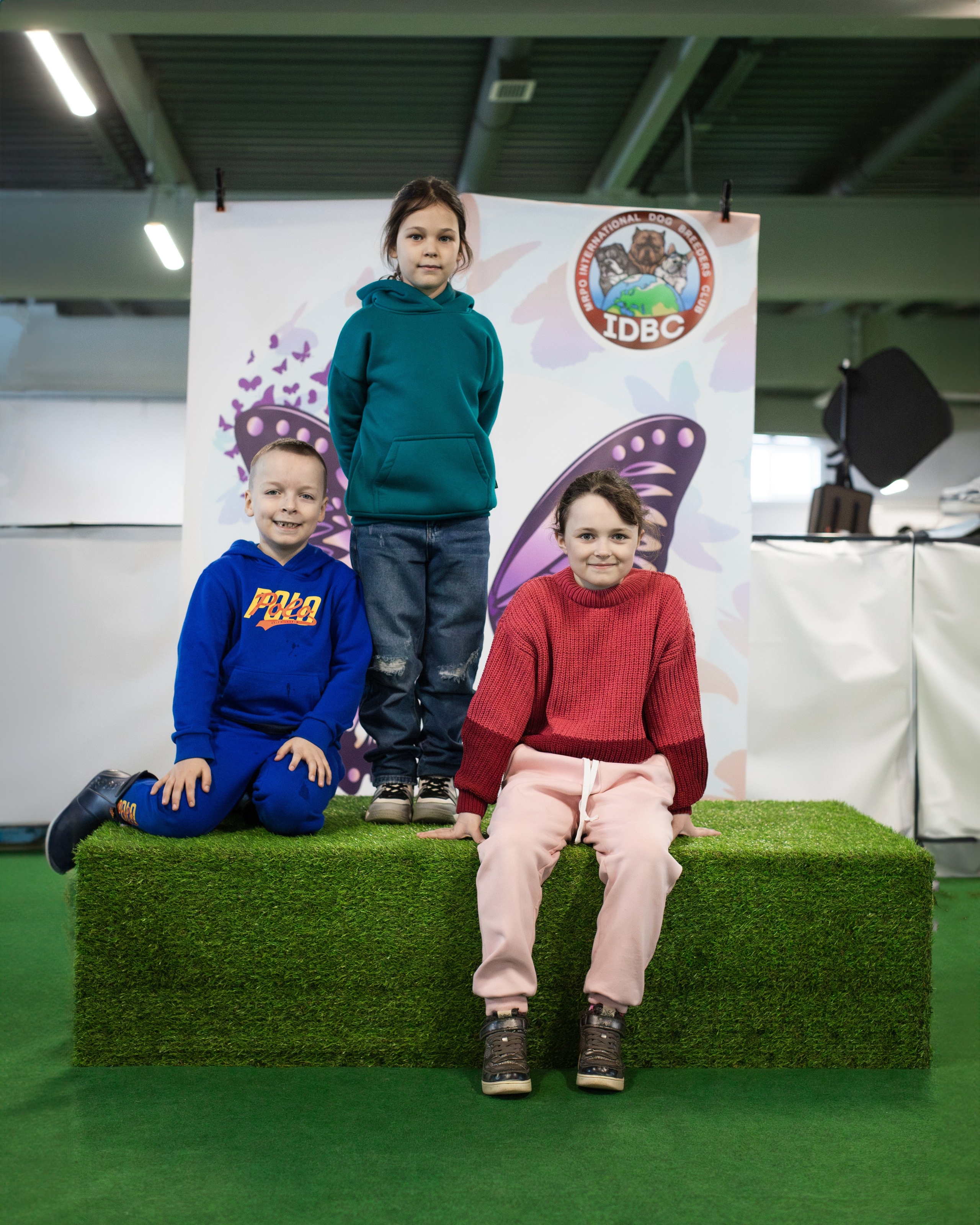 Выставки. Портретная и семейная съемка. Фотограф анималист