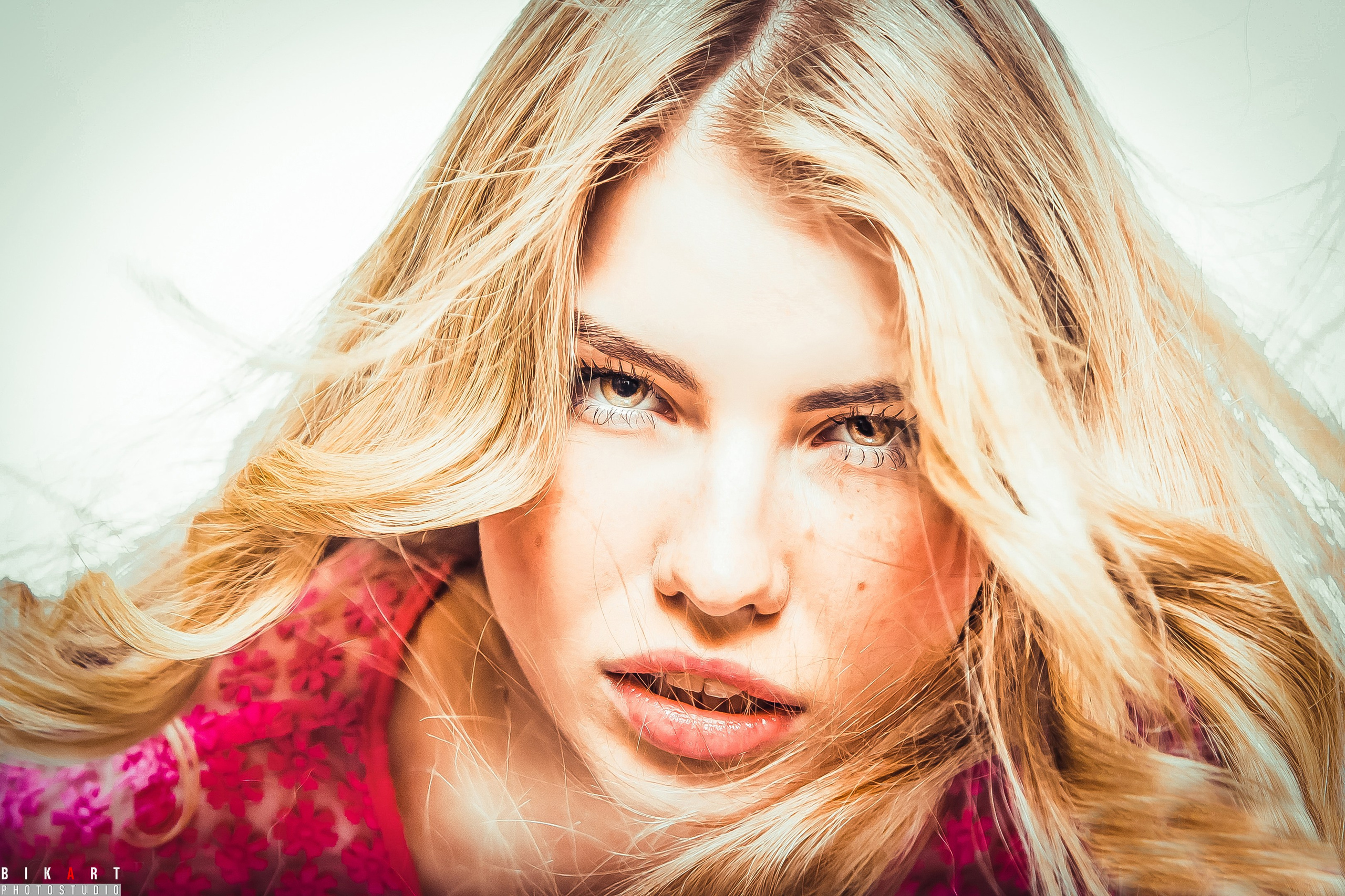 Алиса. Главная