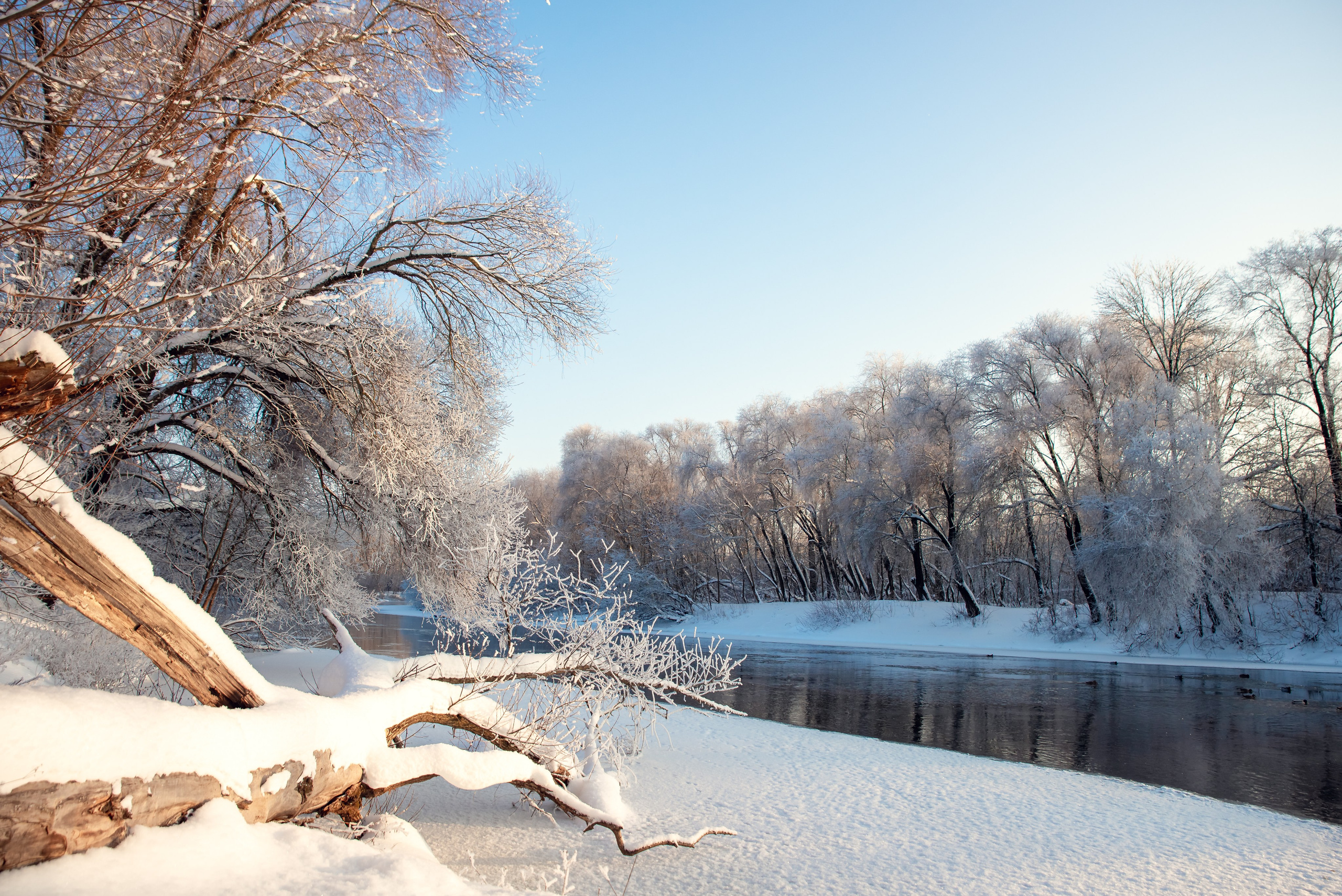 Зимушка зима. Фотограф Крещение Венчание Москва