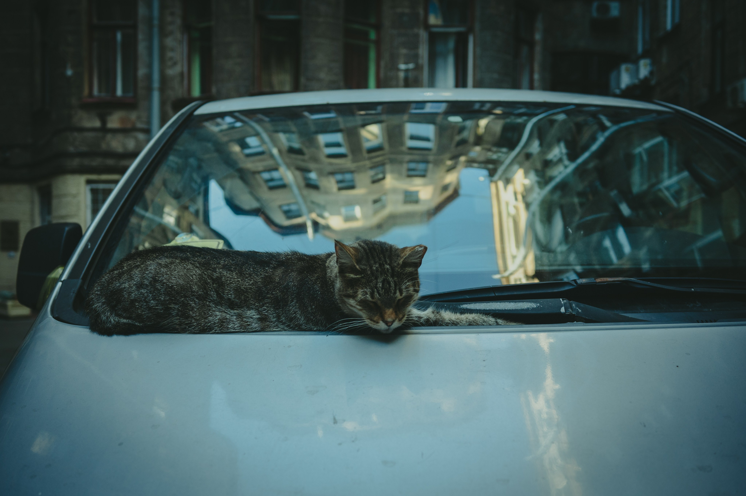 Питер. Фотограф Крещение Венчание Москва