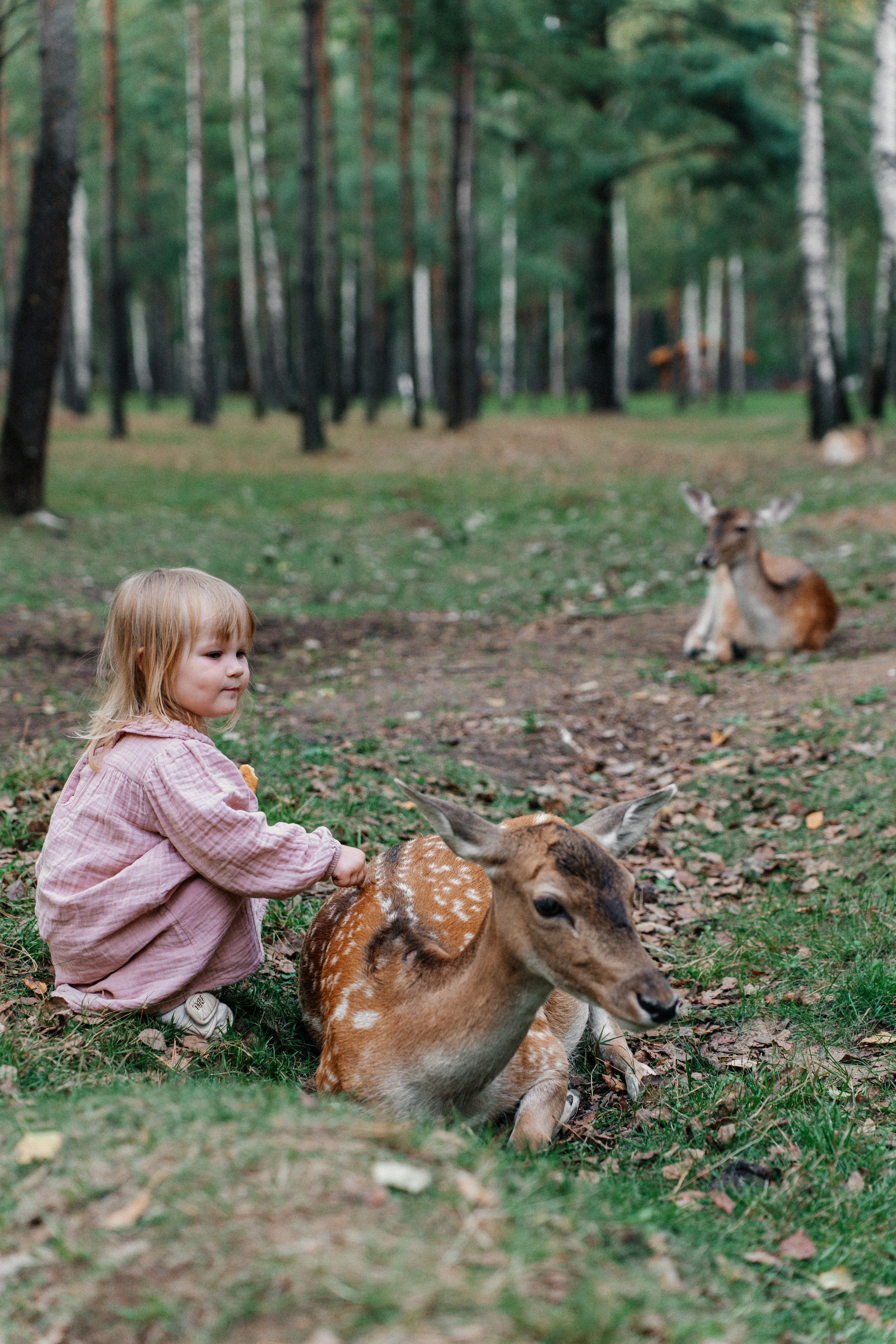 Диприз — в мире диких животных. Ваш семейный фотограф в Минске — Вика Трегубова