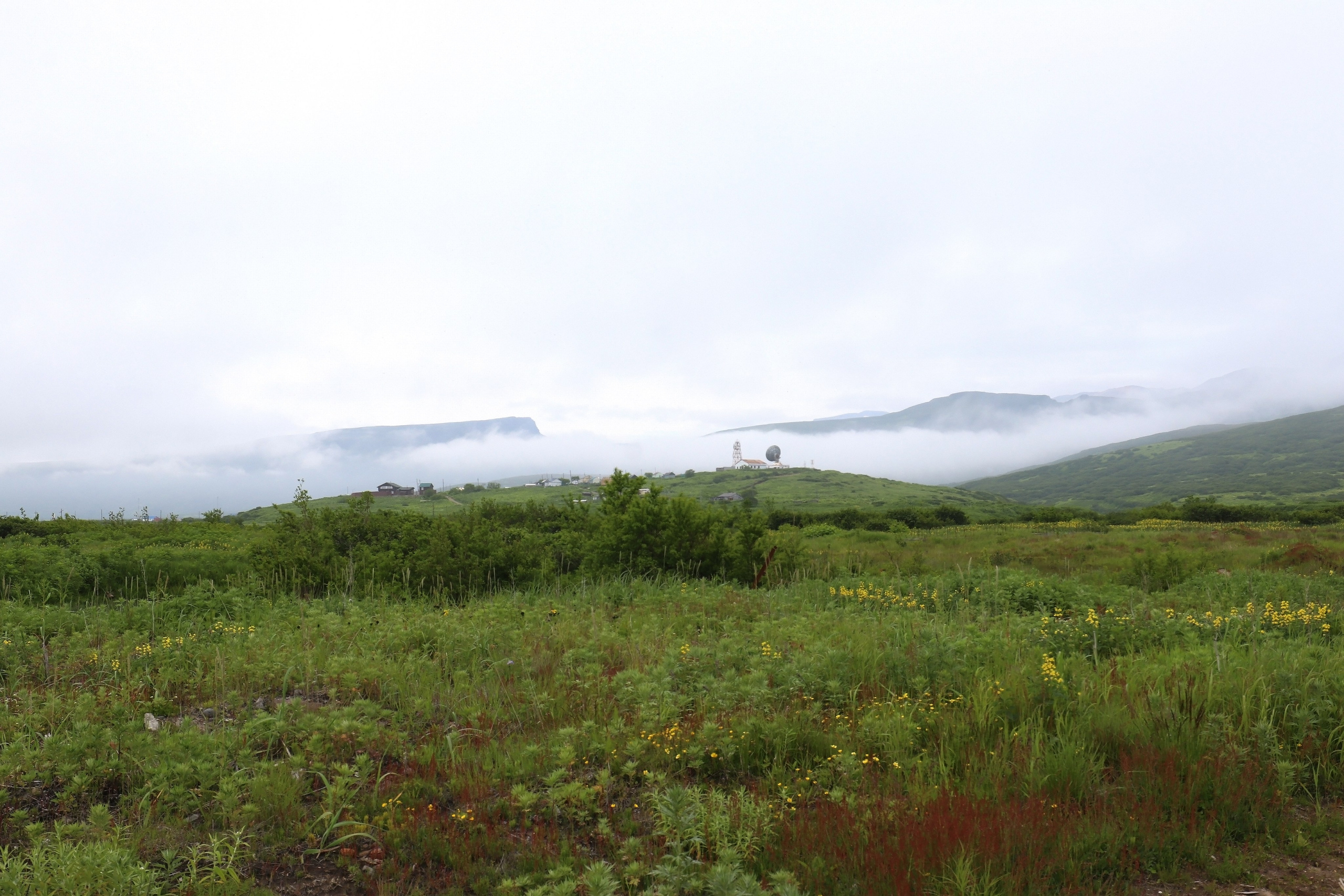 Камчатка и о. Парамушир. Июль 2024. Путешественник-фотограф из Санкт-Петербурга Татьяна Свистулина