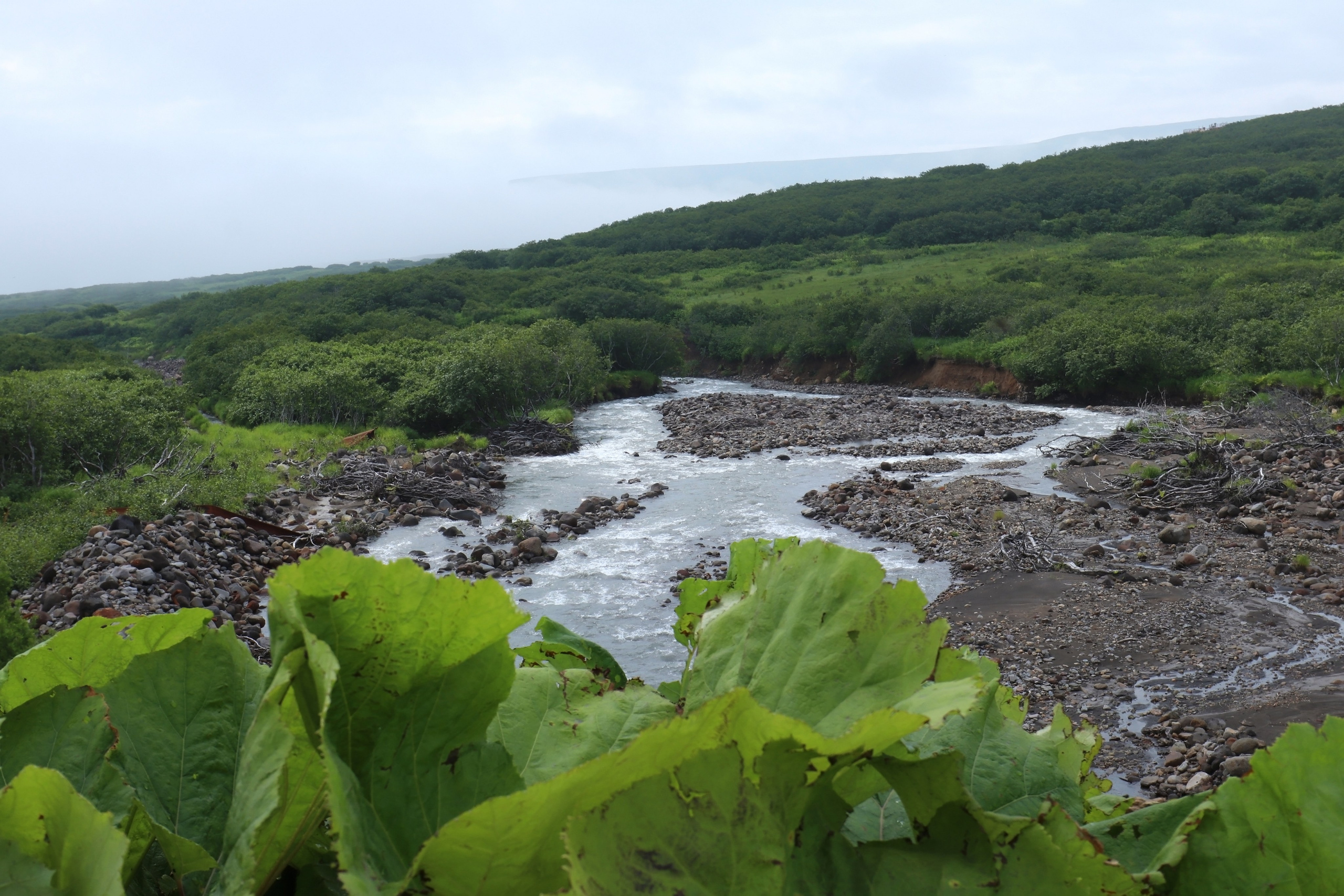 Камчатка и о. Парамушир. Июль 2024. Путешественник-фотограф из Санкт-Петербурга Татьяна Свистулина