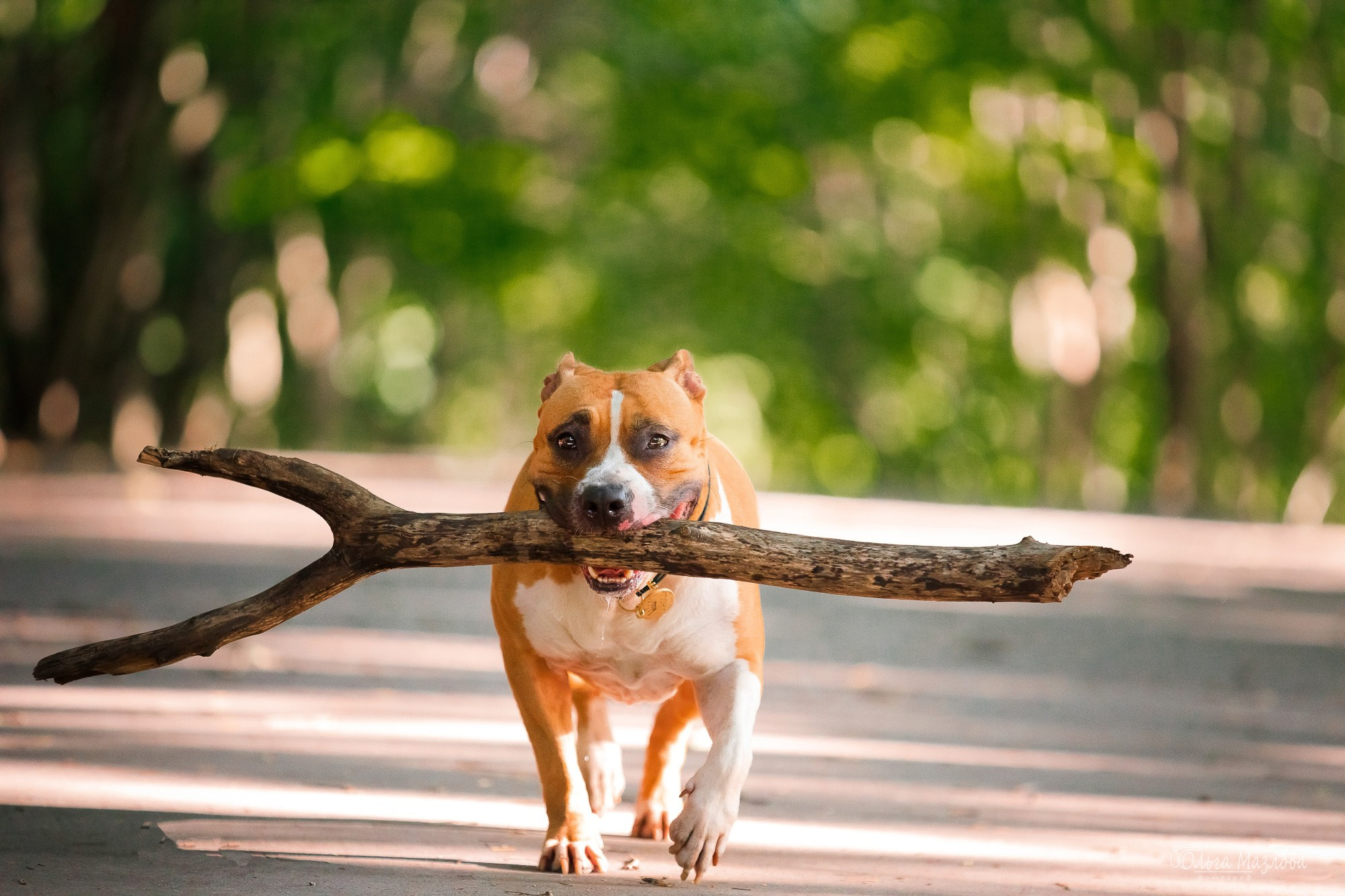 фотограф в Саратове