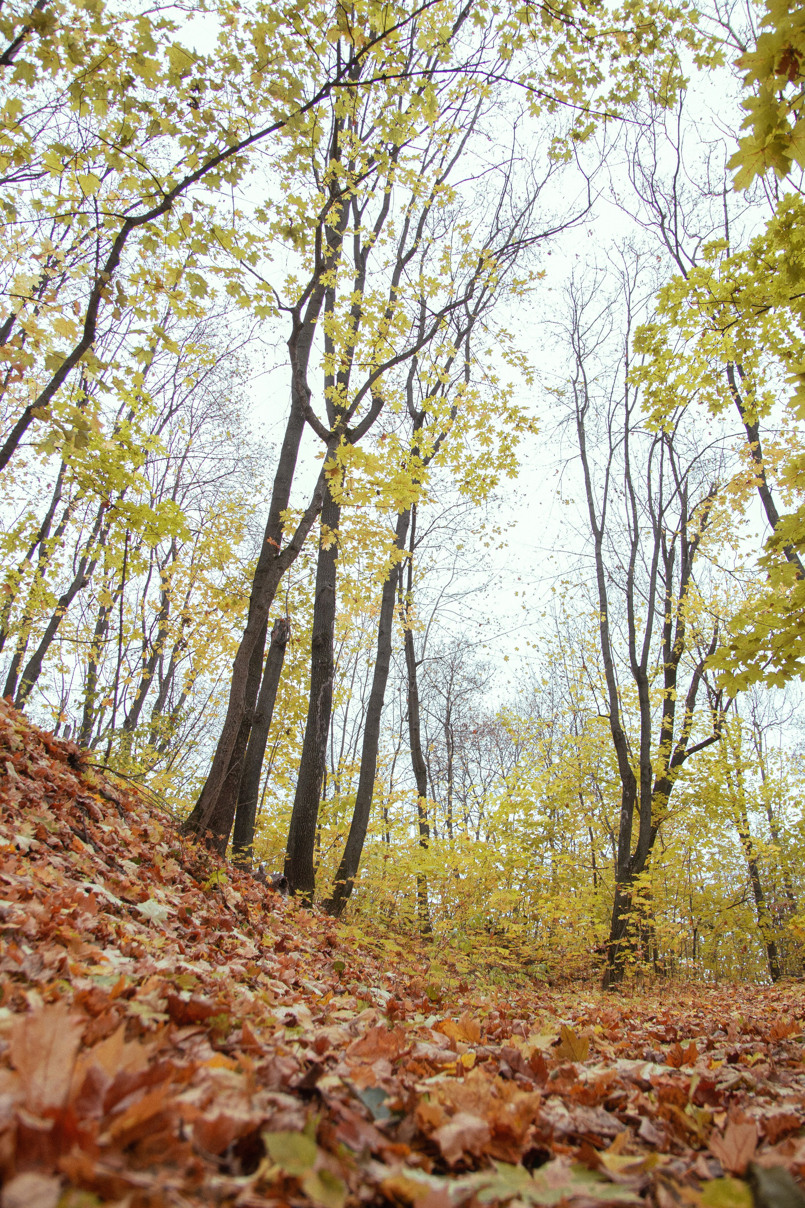Русско-Немецкая Швейцария. Арсений Марасинский — фотограф в Казани