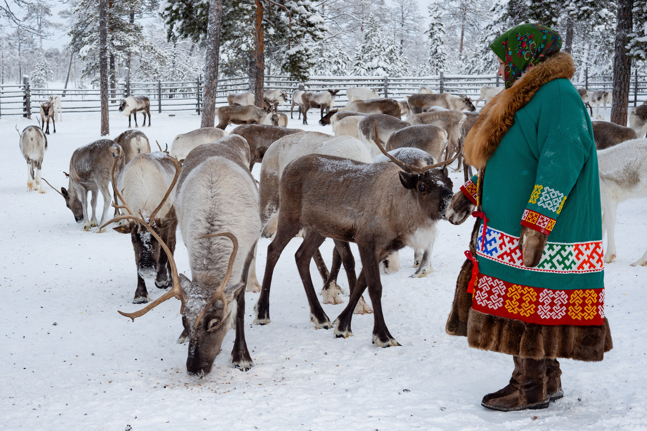 Ханты (коренные малочисленные народы Севера). Фотография — это миг, который фиксирует вечность