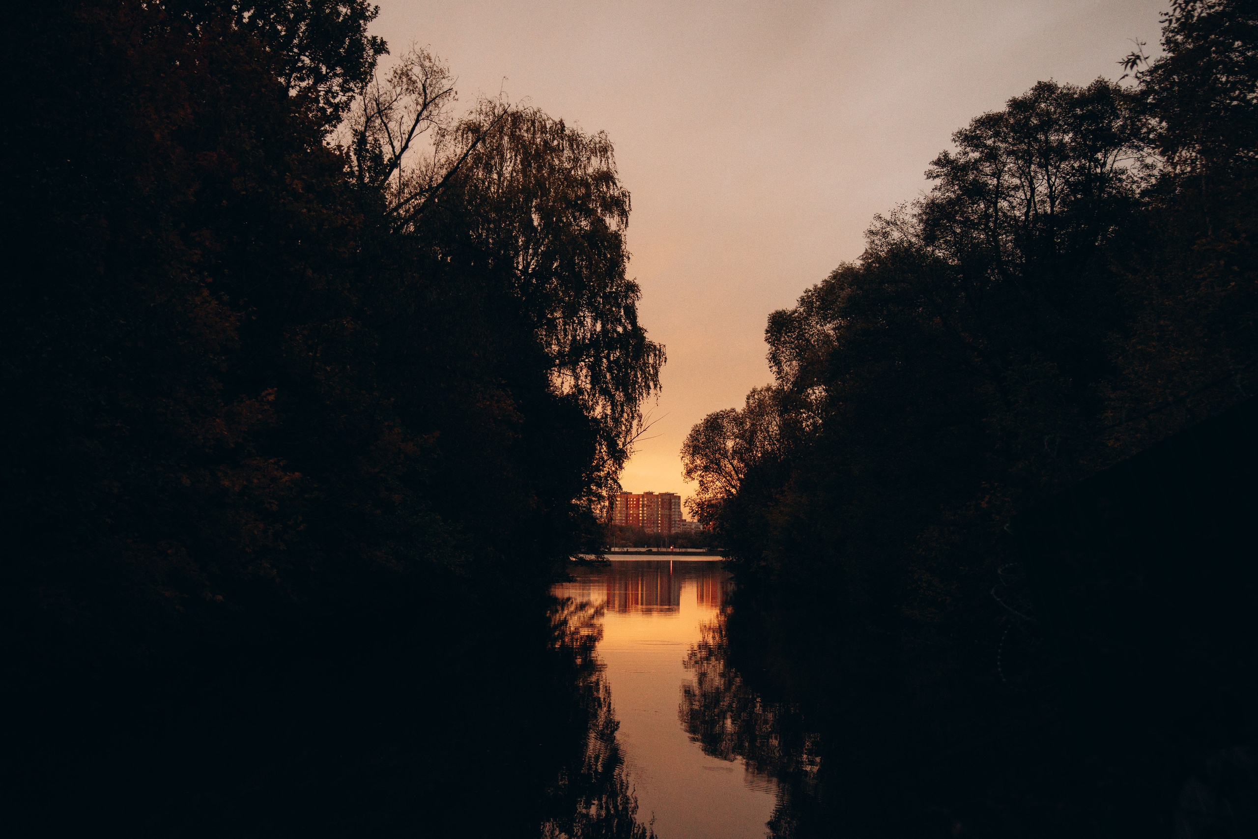 Арина и Сэмми. Фотограф — Анималист | Санкт-Петербург