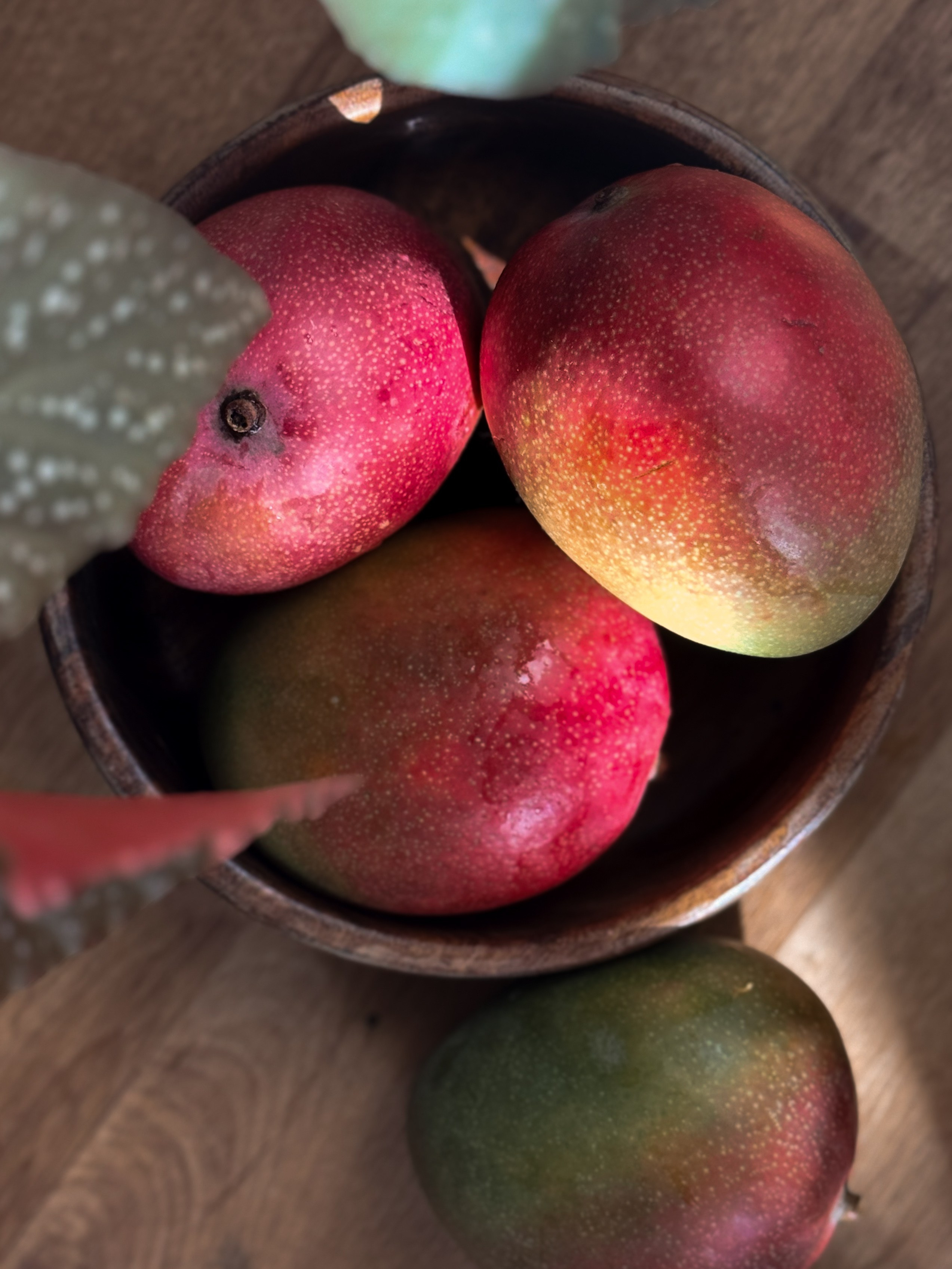 Фудфото для «Альянс». Фотограф Ирина Воробьева