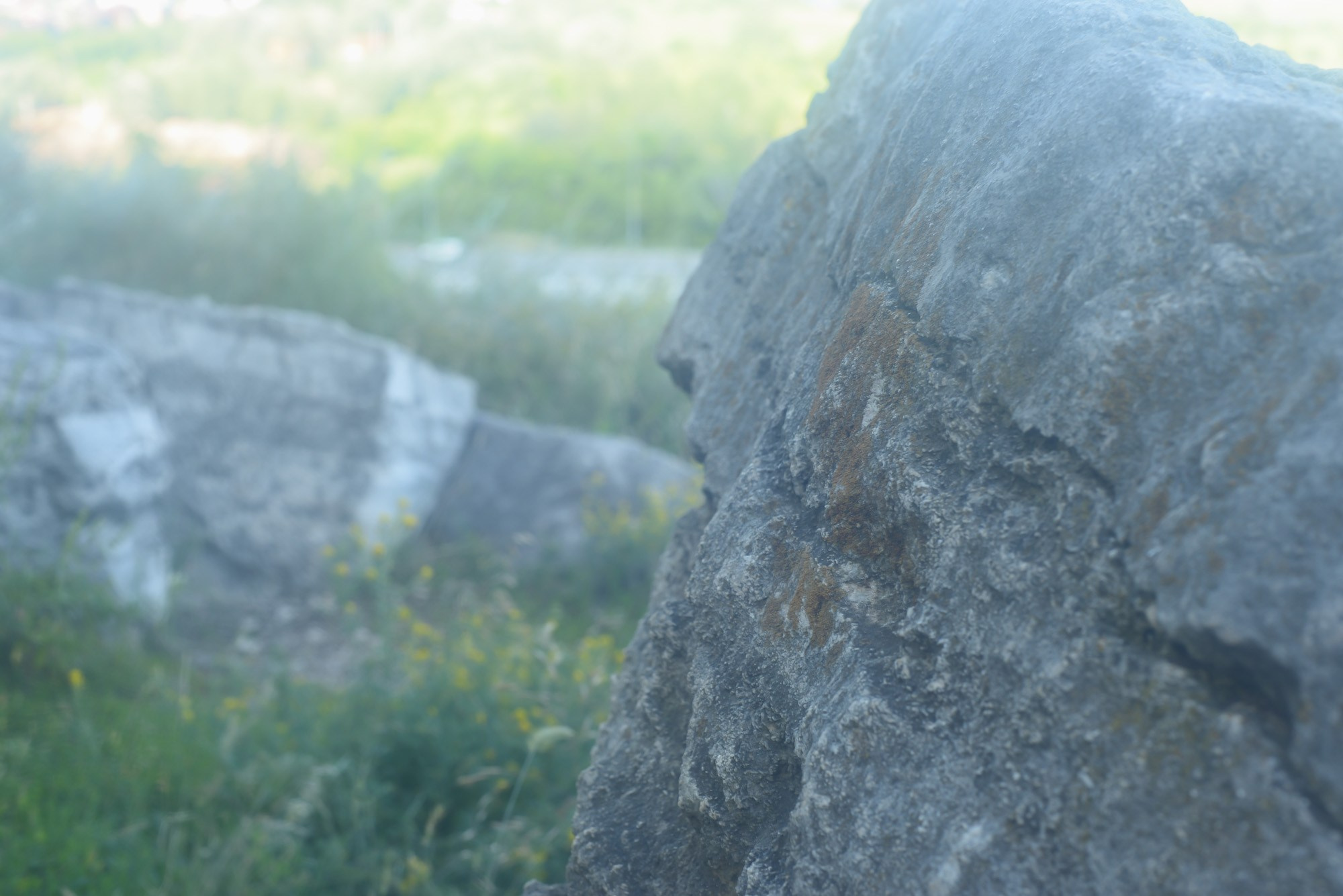 Фотограф Константин Ясинский