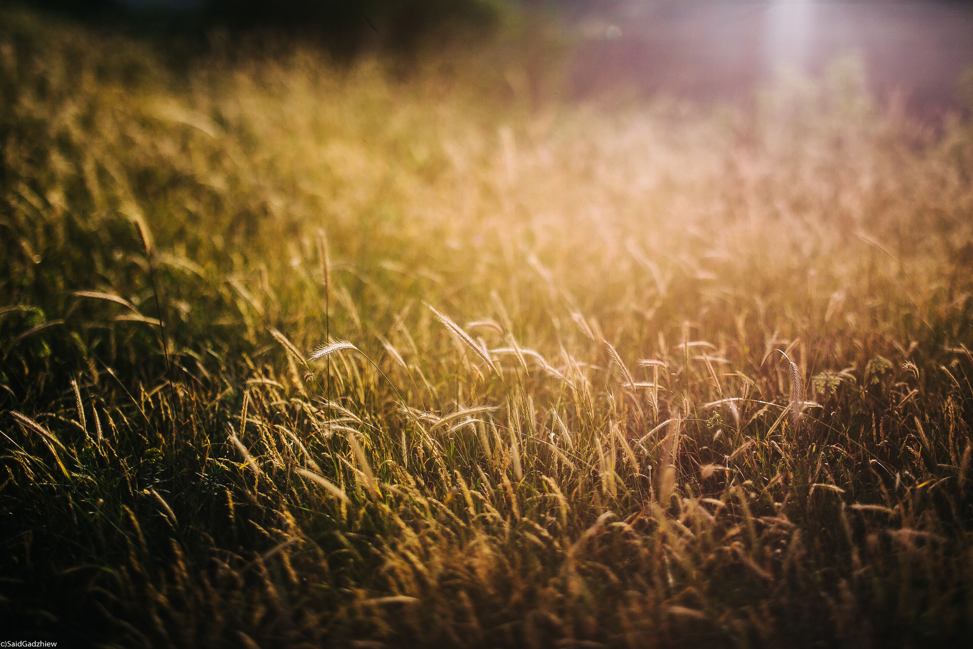 Эстетика родом с высоты. Фотограф в Махачкале Саид Гаджиев