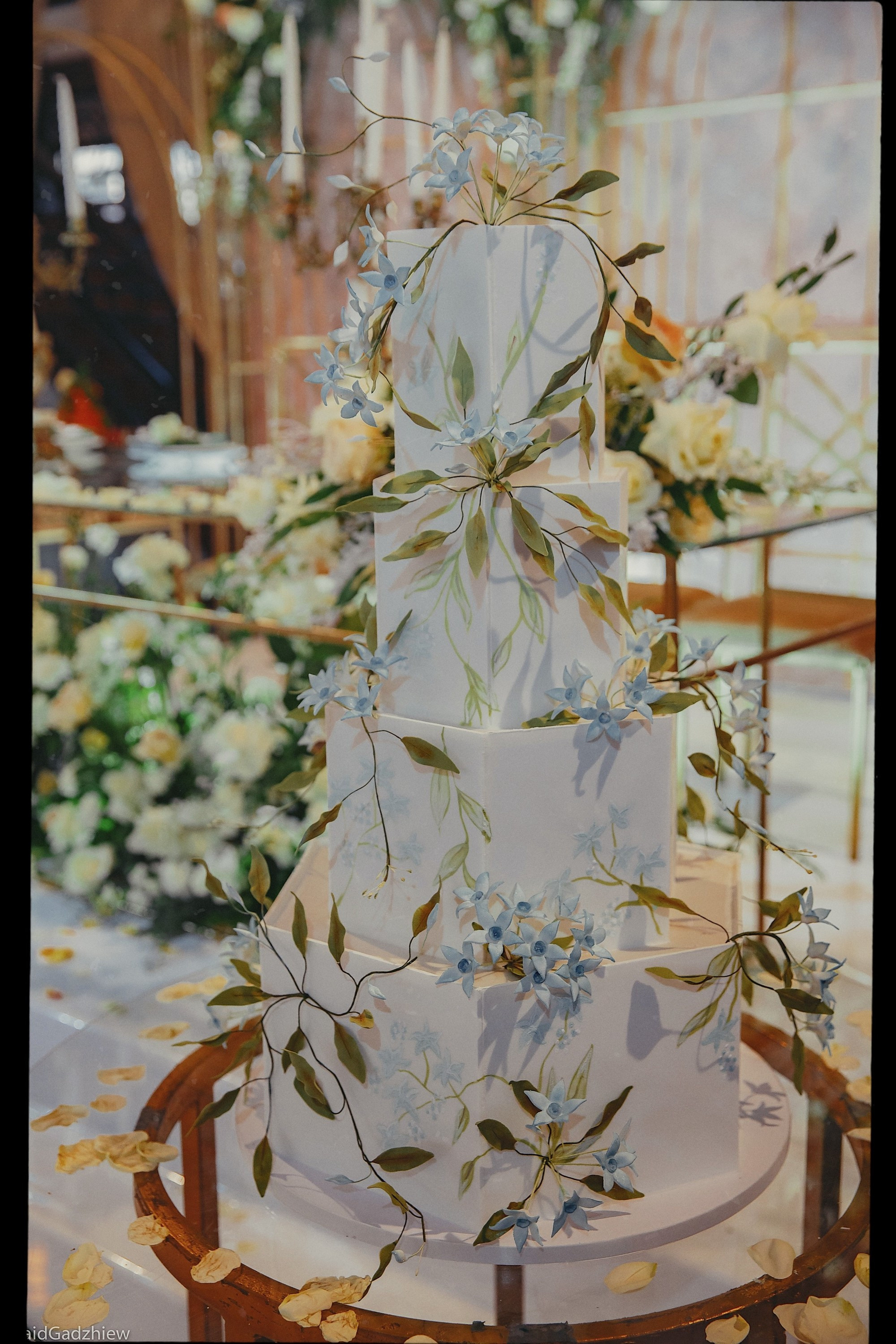 С Абхазии с любовью. Фотограф в Махачкале Саид Гаджиев