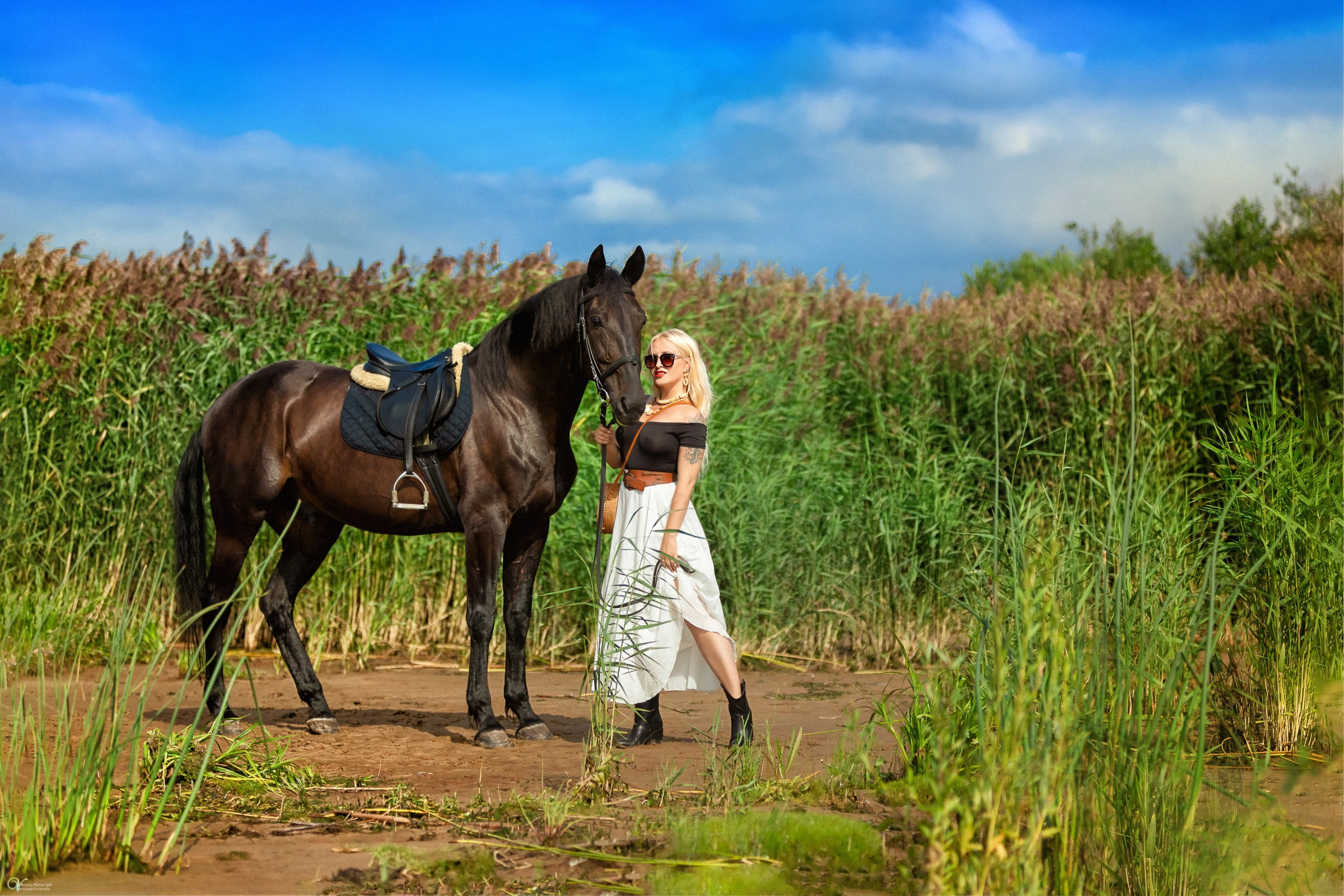 Фотосессии с лошадьми летом. Фотограф женский и мужской портрет Санкт-Петербург