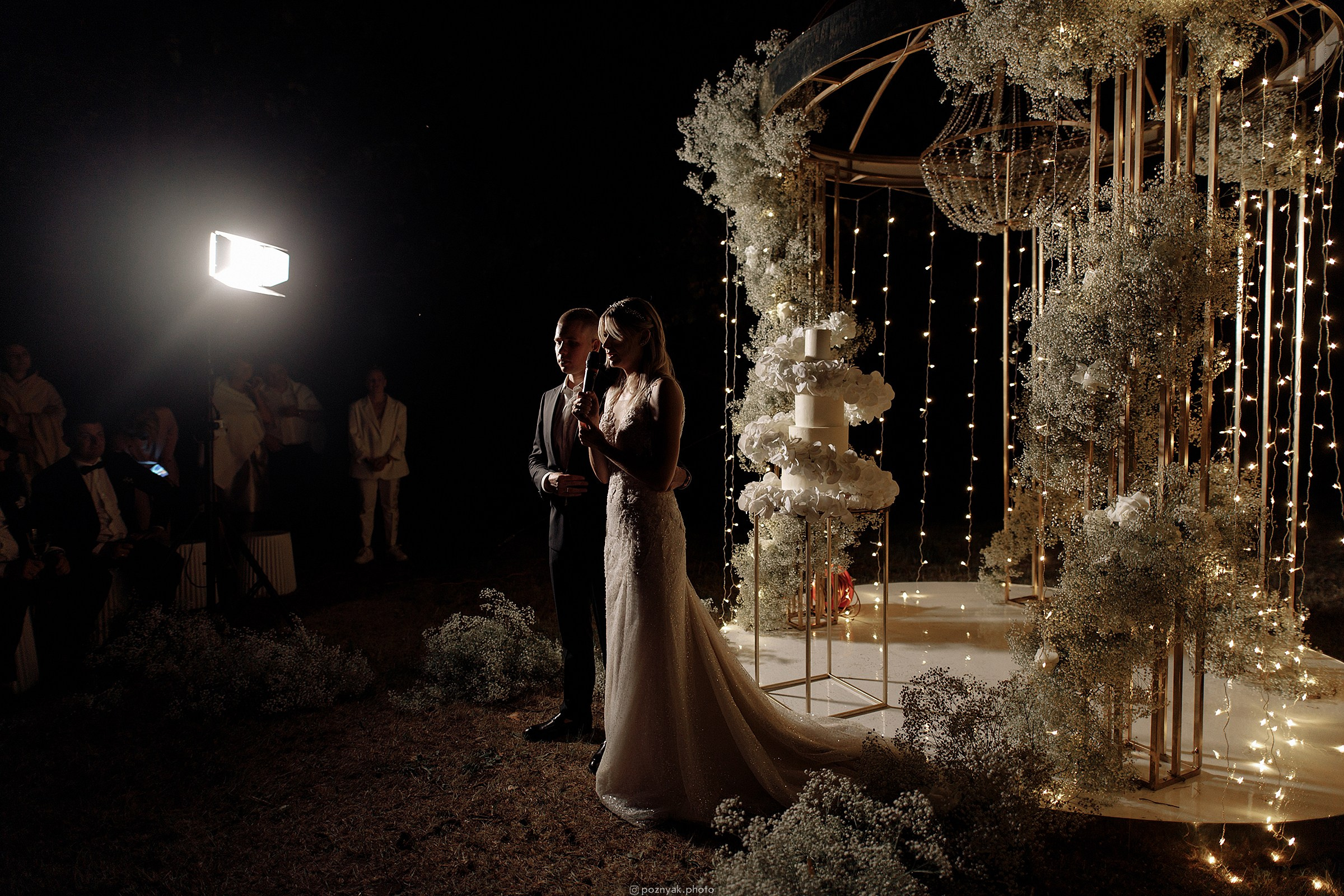 Игорь & Александра. Дмитрий Позняк — свадебный фотограф в Брянске. Личный сайт фотографа