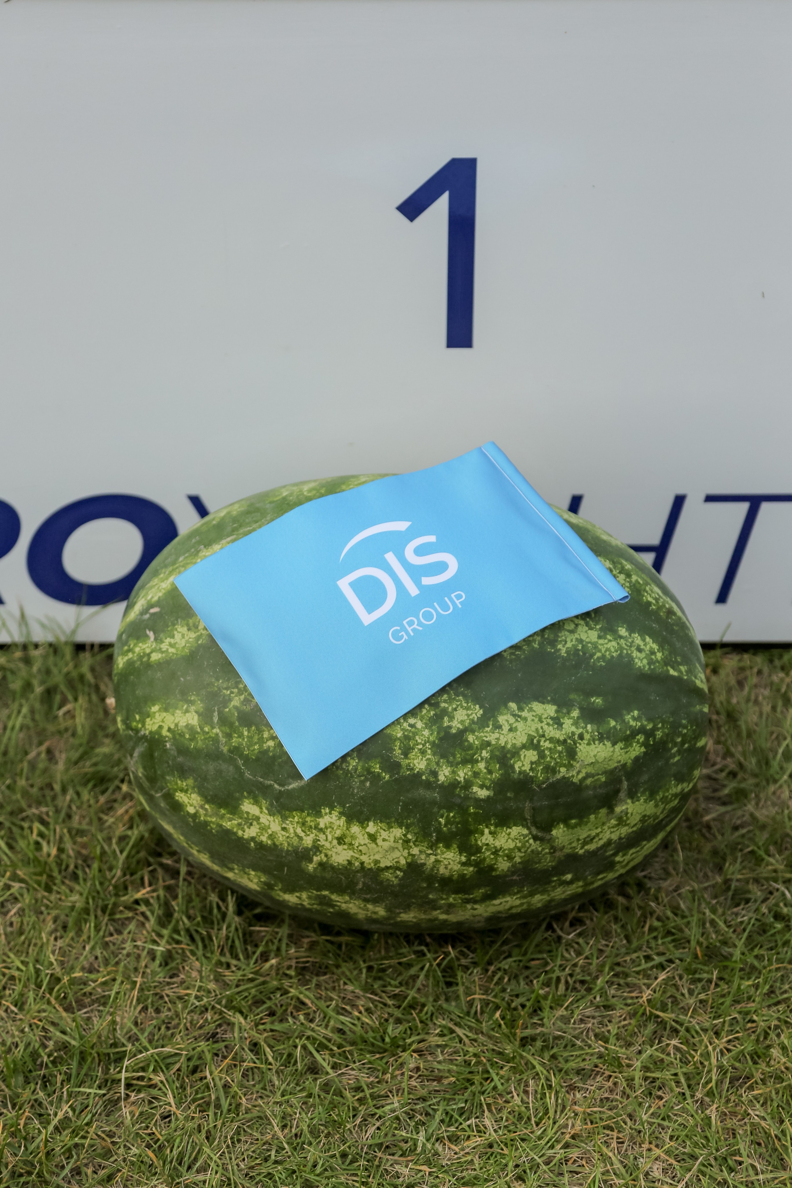 DIS Регата 2025. Фотограф Антон Чупринин