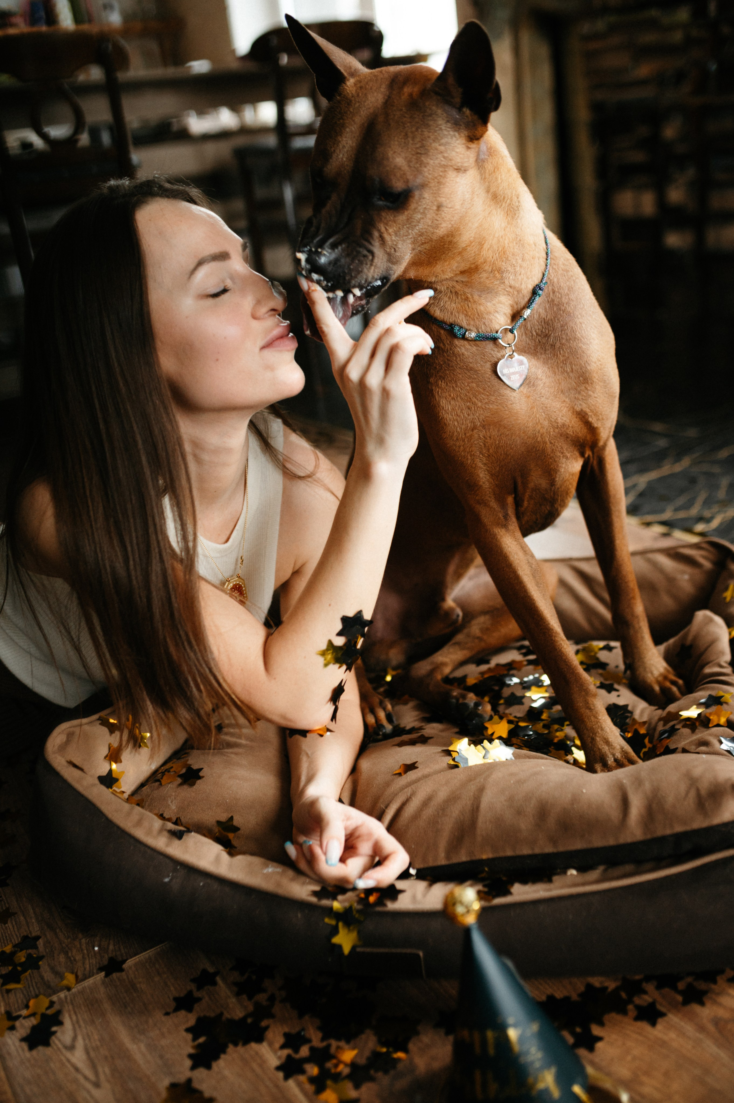 Оксана и Зевс. Фотограф анималист в Москве Ольга Агушева