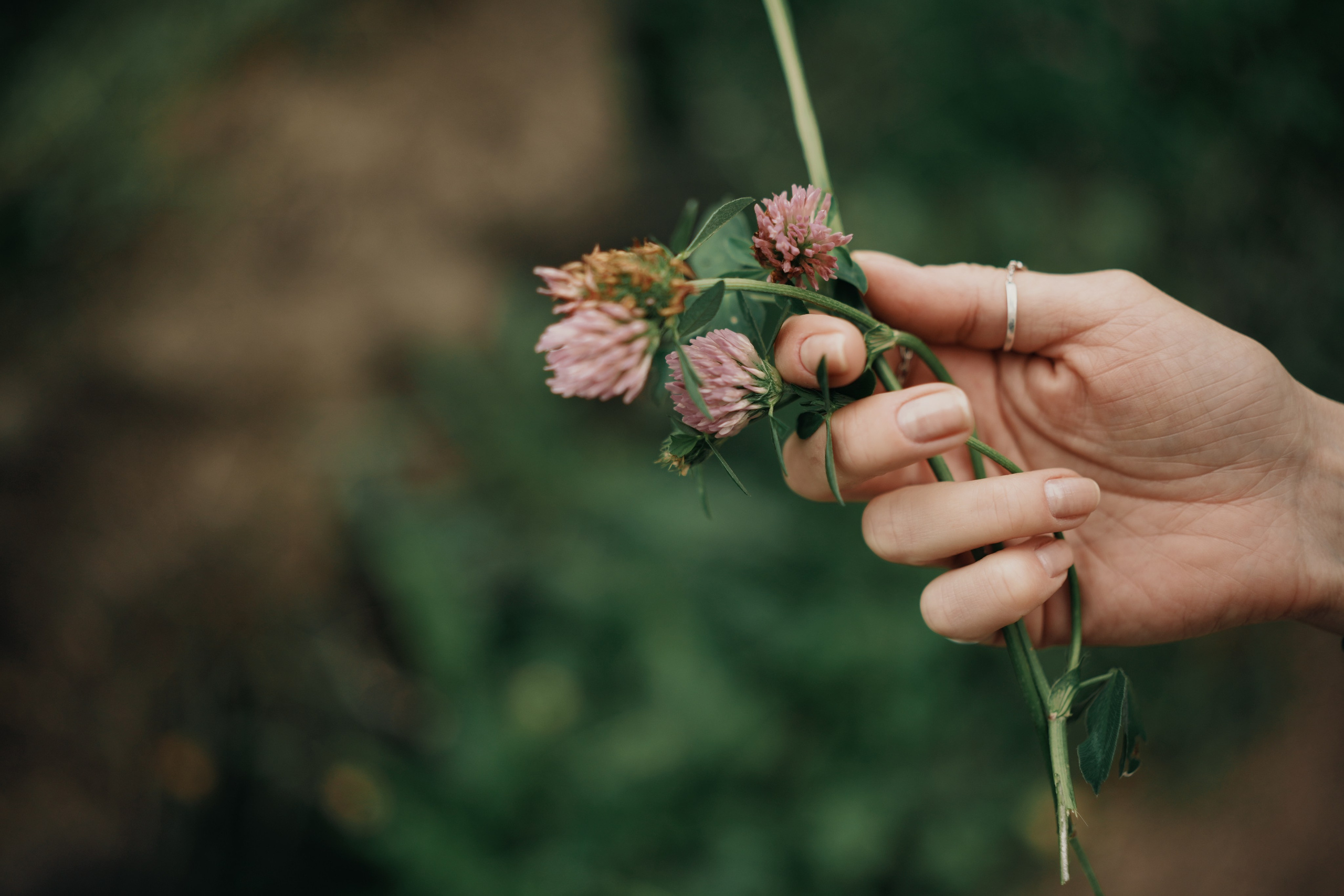 Девушка в летнем парке. Fotографиня из Санкт-Петербурга Настя Шуман