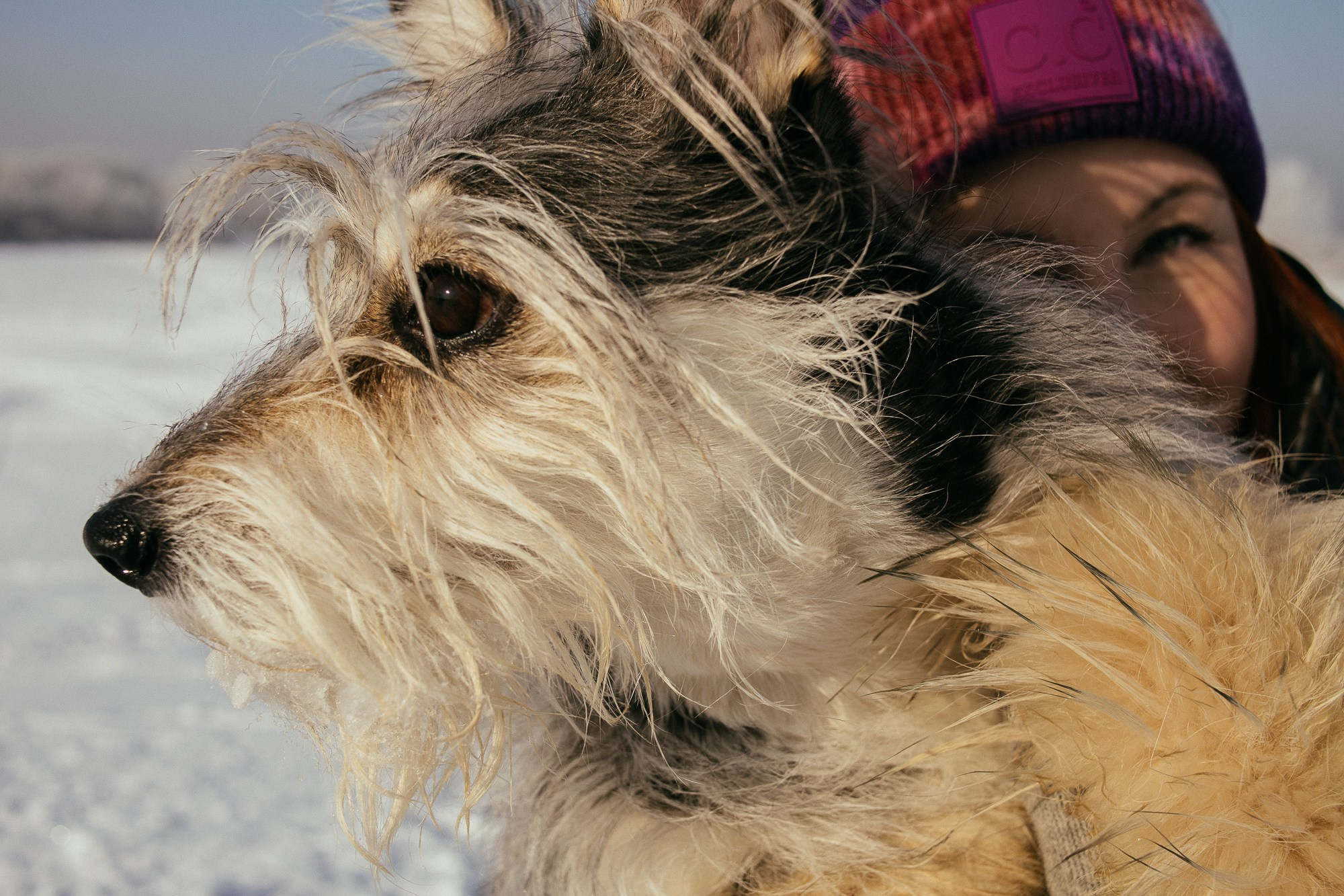 Оля и Молли. Фотограф в Новосибирске Евгений Маслов