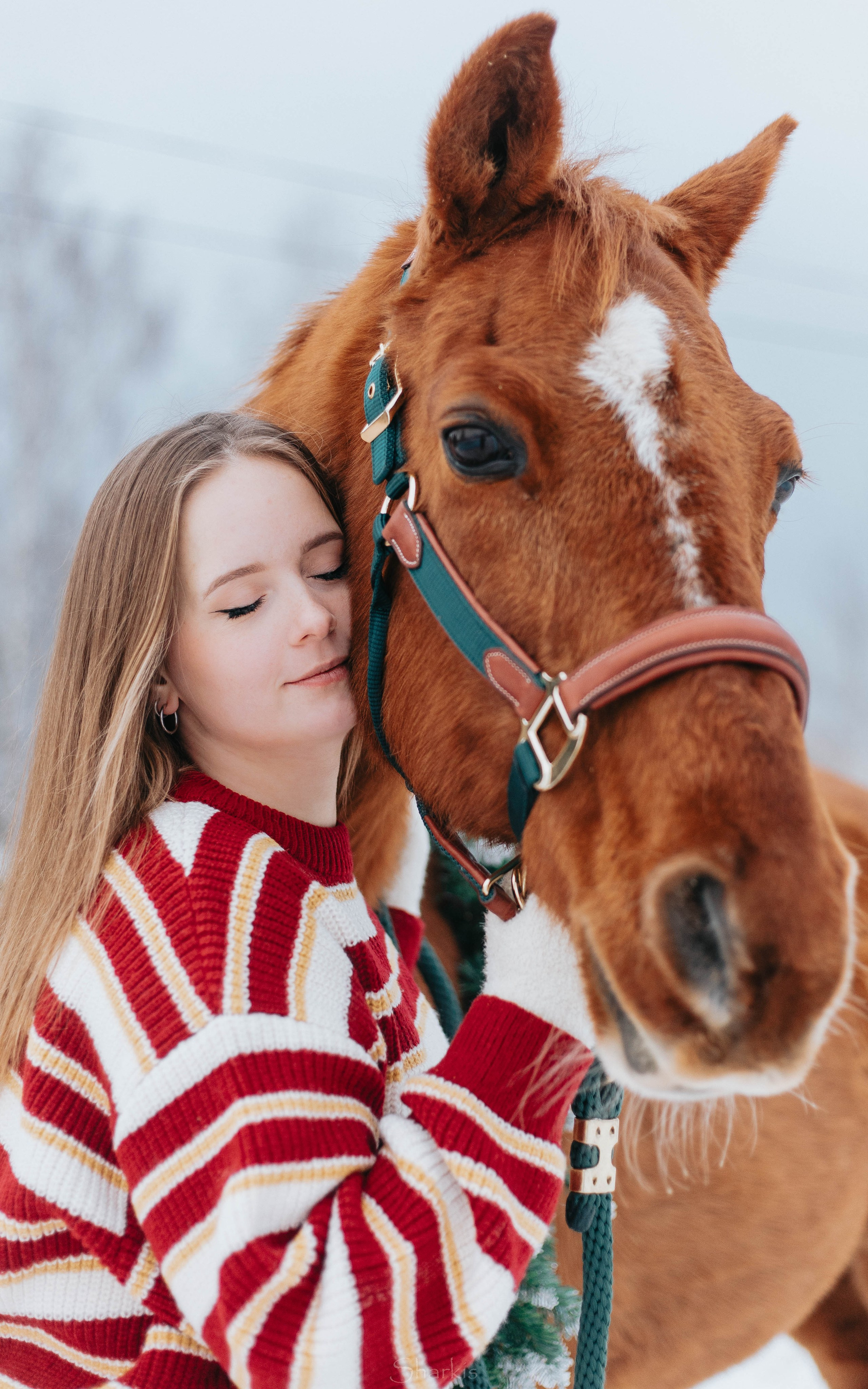 Фото день в ЧК «Орлёнок» — Новый год. Главная
