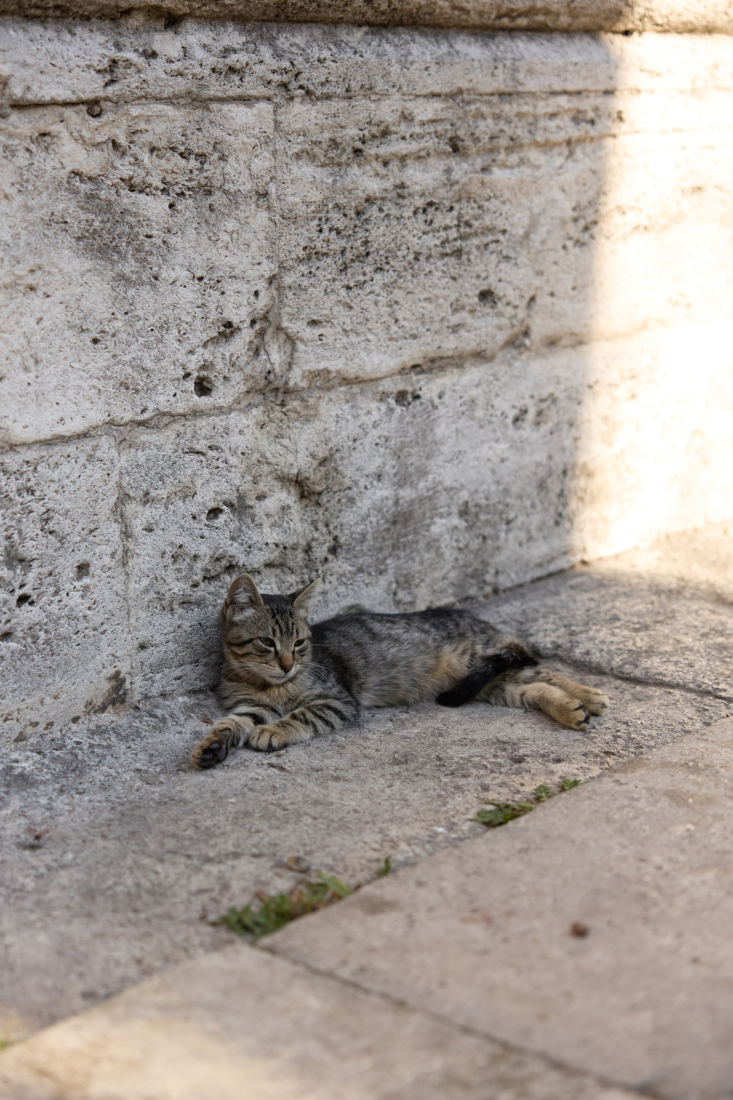 Стамбул 24. Фотограф Москва, Дима Пеллер