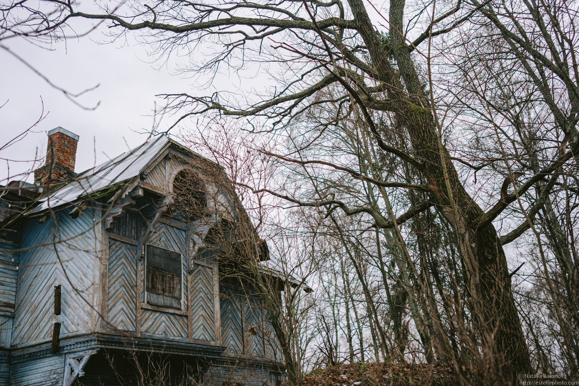 Координаты истории: русские усадьбы. Наталия Баранова — профессиональный фотограф в СПб и Москве