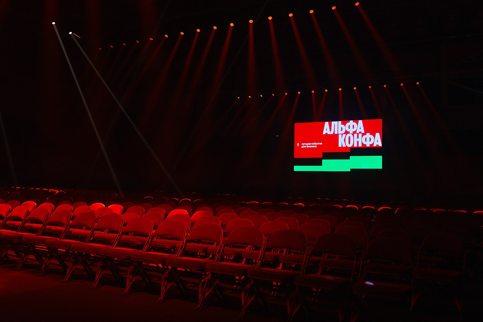 Альфа-Конфа. Фотограф в Хабаровске