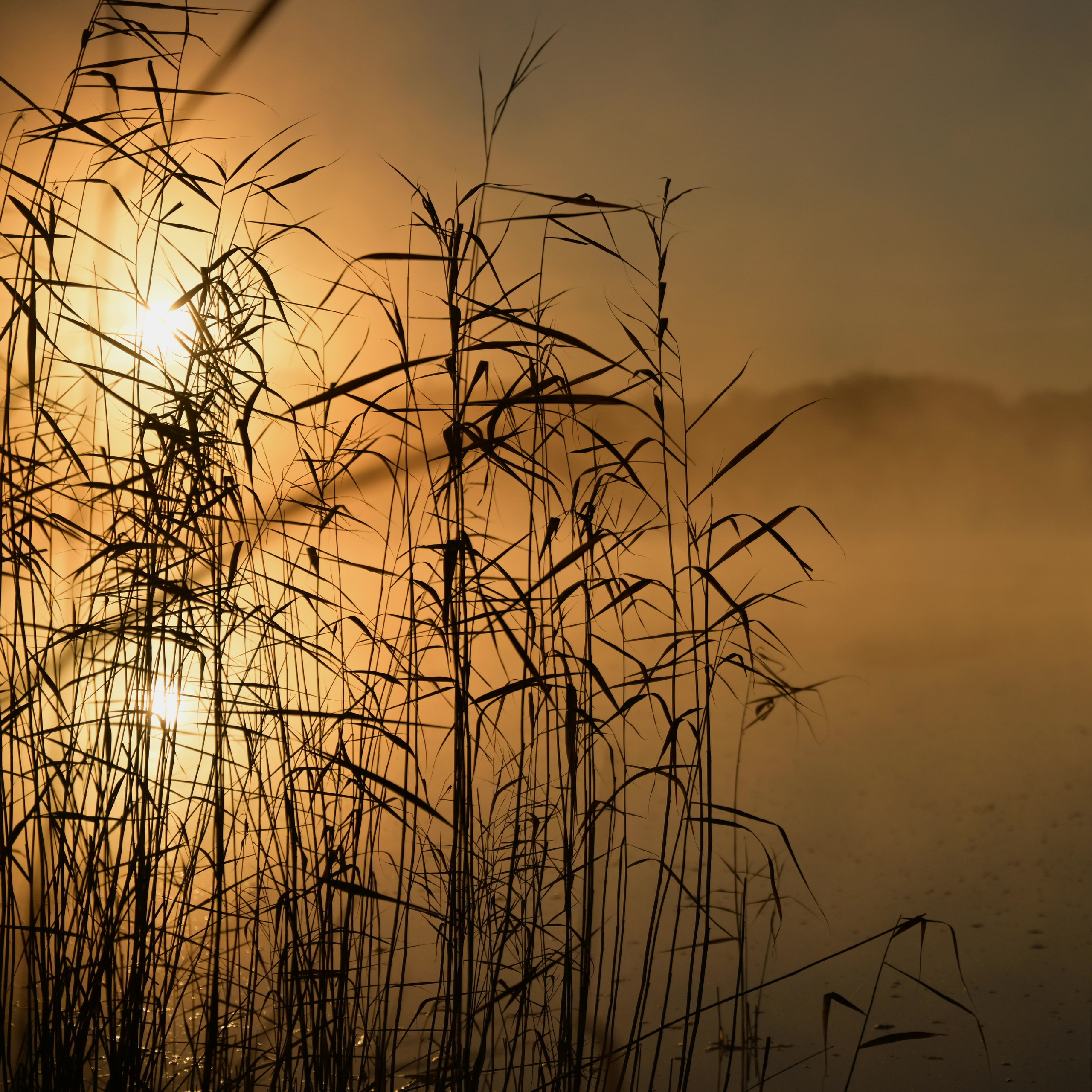 Курганская область. Портретный фотограф в Челябинске Катерина Руди