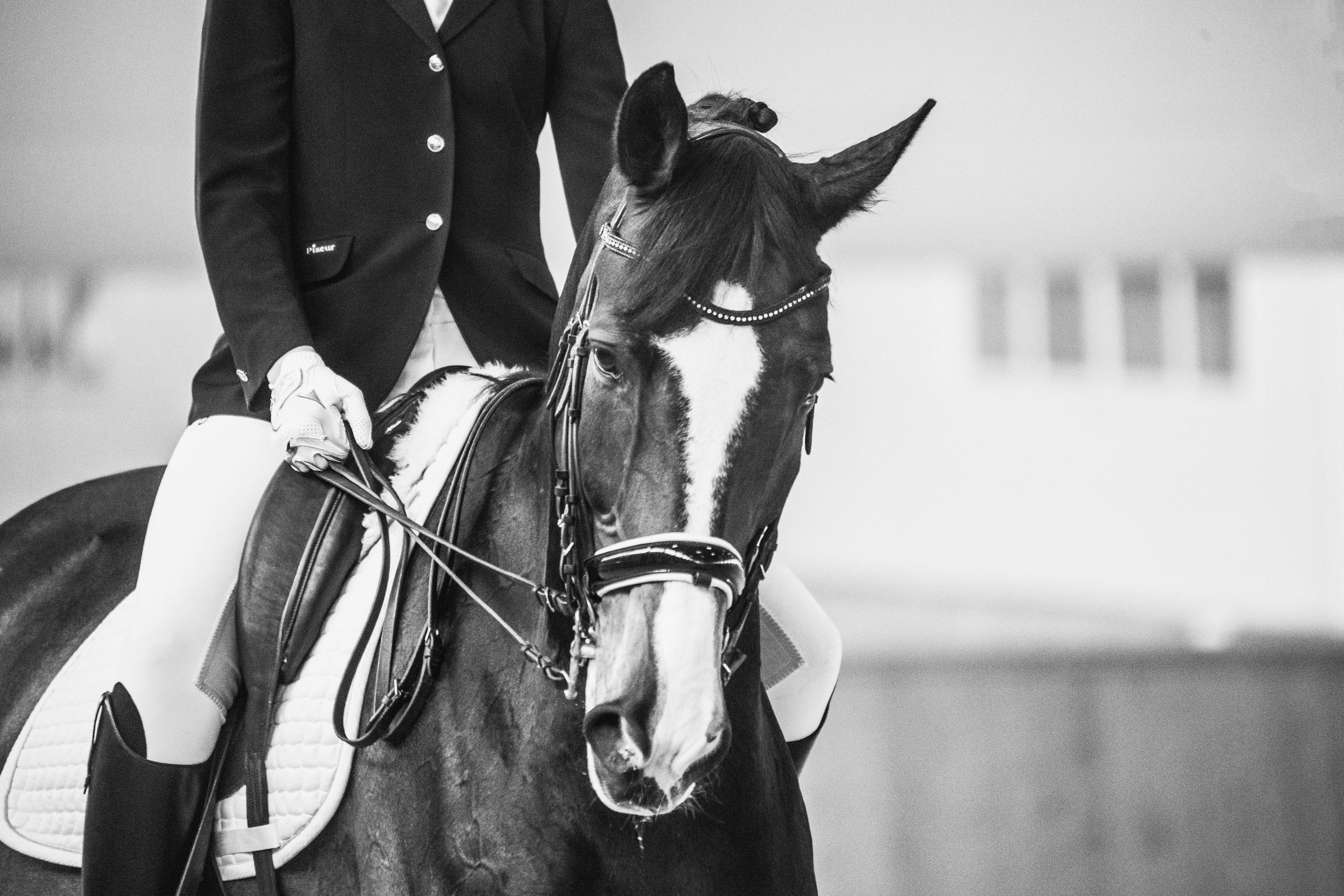 Зимние соревнования. Фотосессии с лошадьми