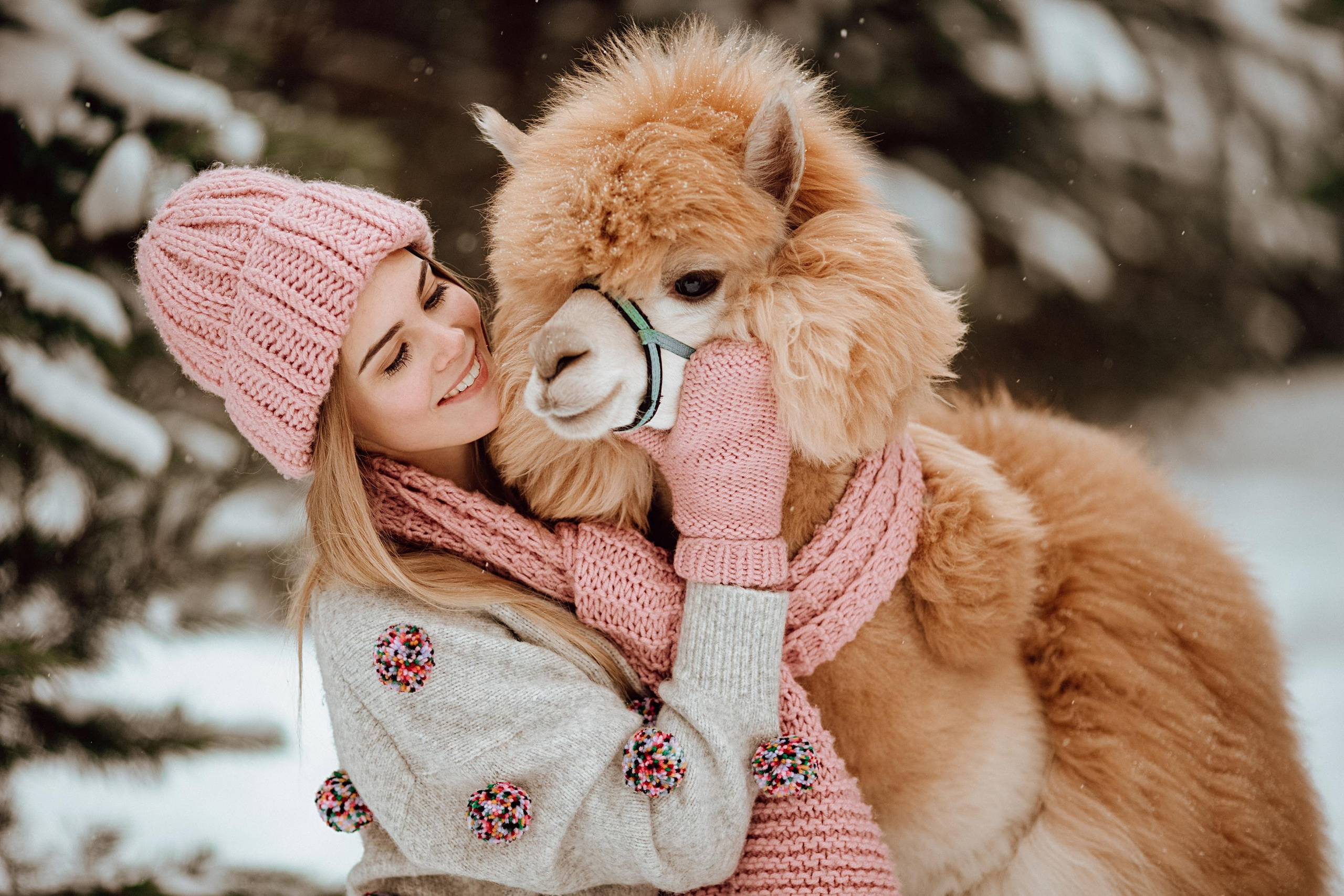 Winter wonderland. Алина Малышева, свадебный и семейный фотограф Москва