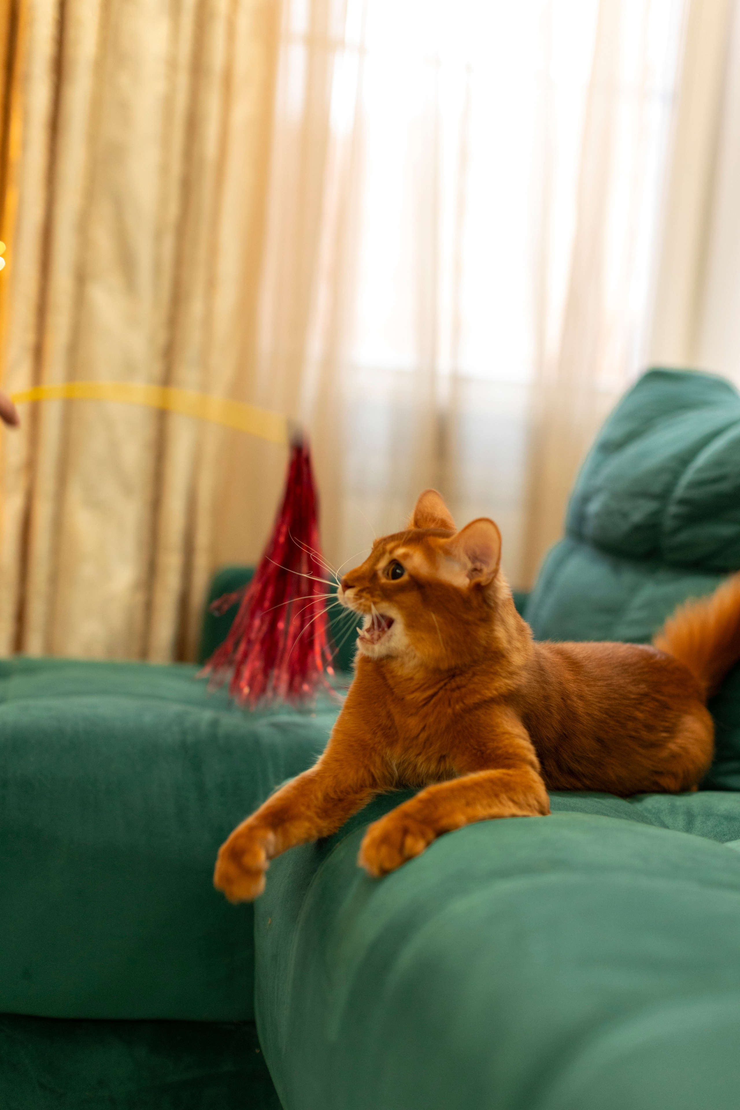 Сомали. Art my Pho