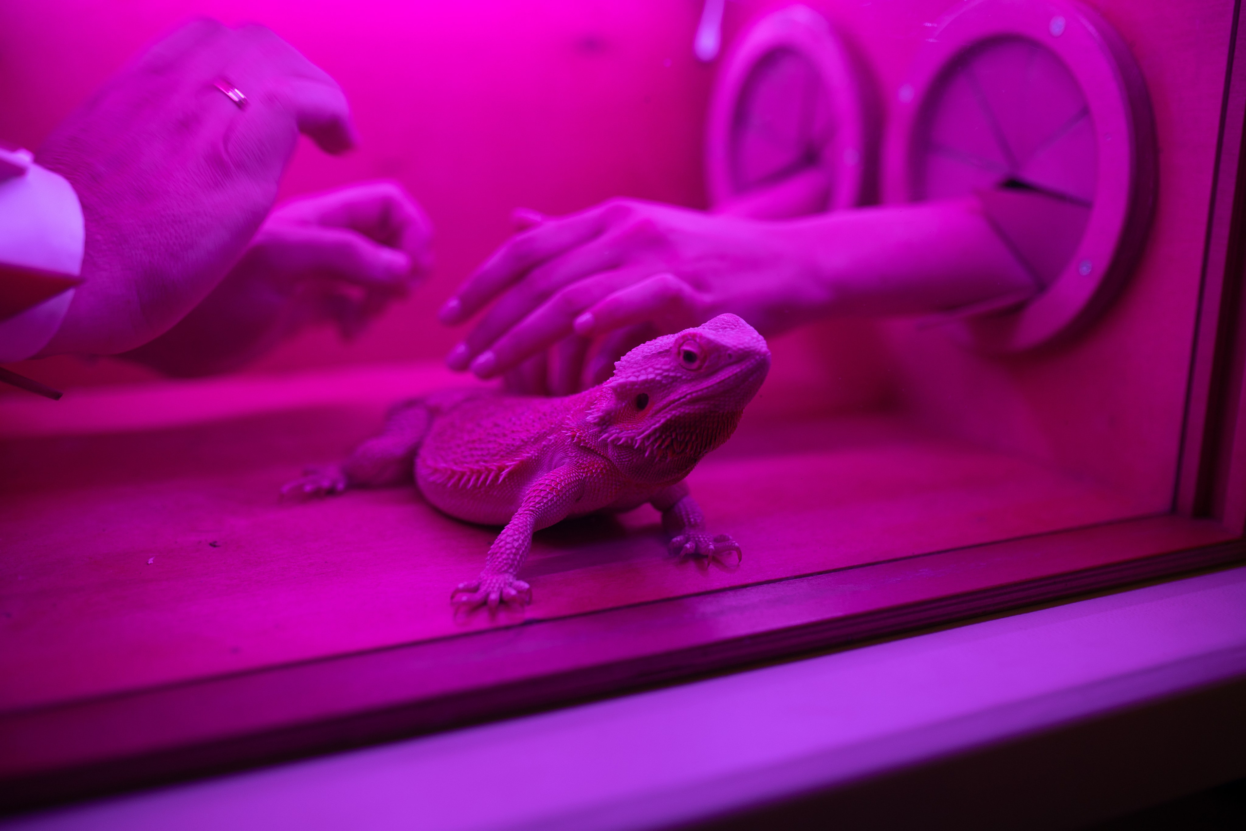 Anastasya/Anton. Свадебный фотограф Павел Князев