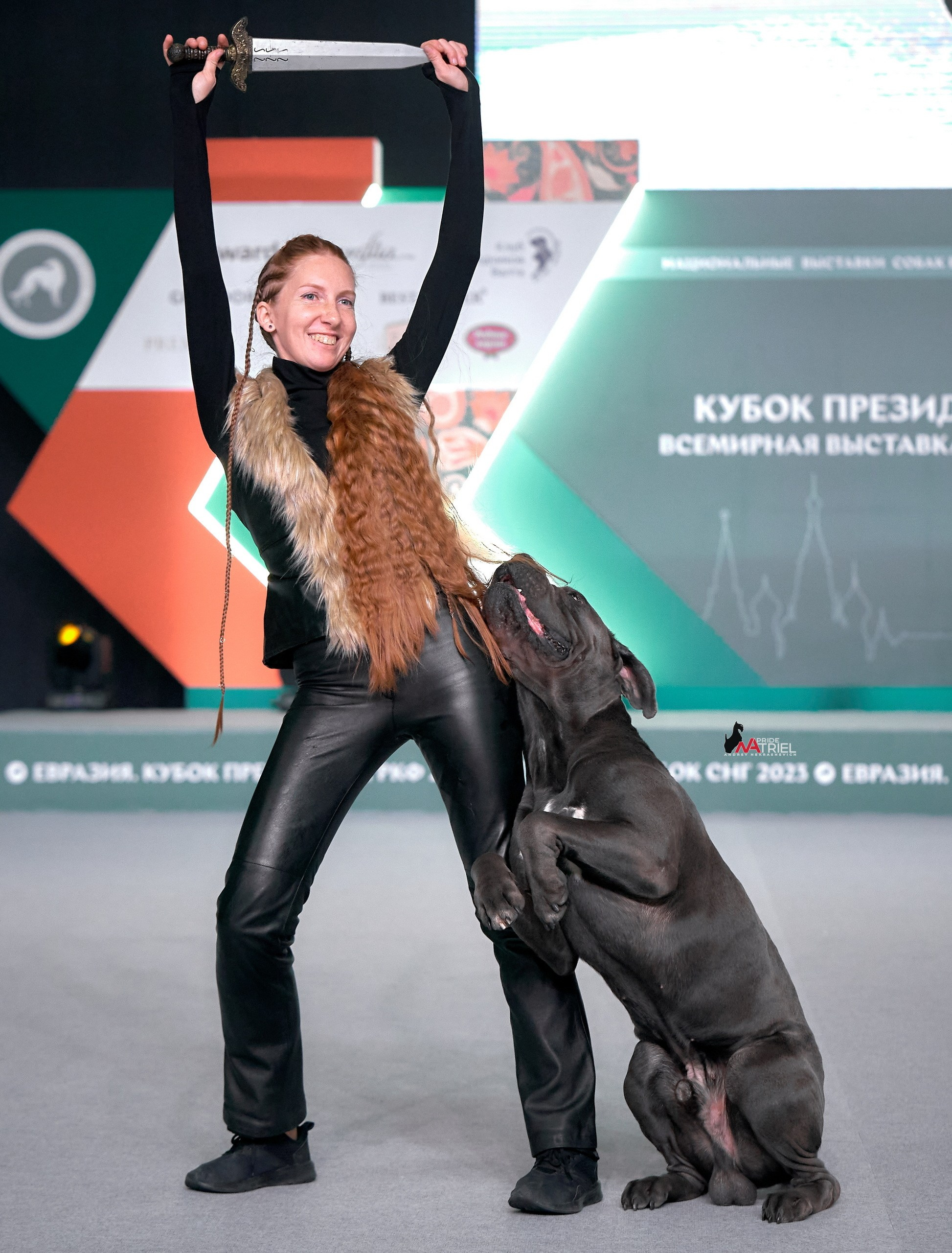 Обидиенс и танцы с собаками — галерея NATRIEL