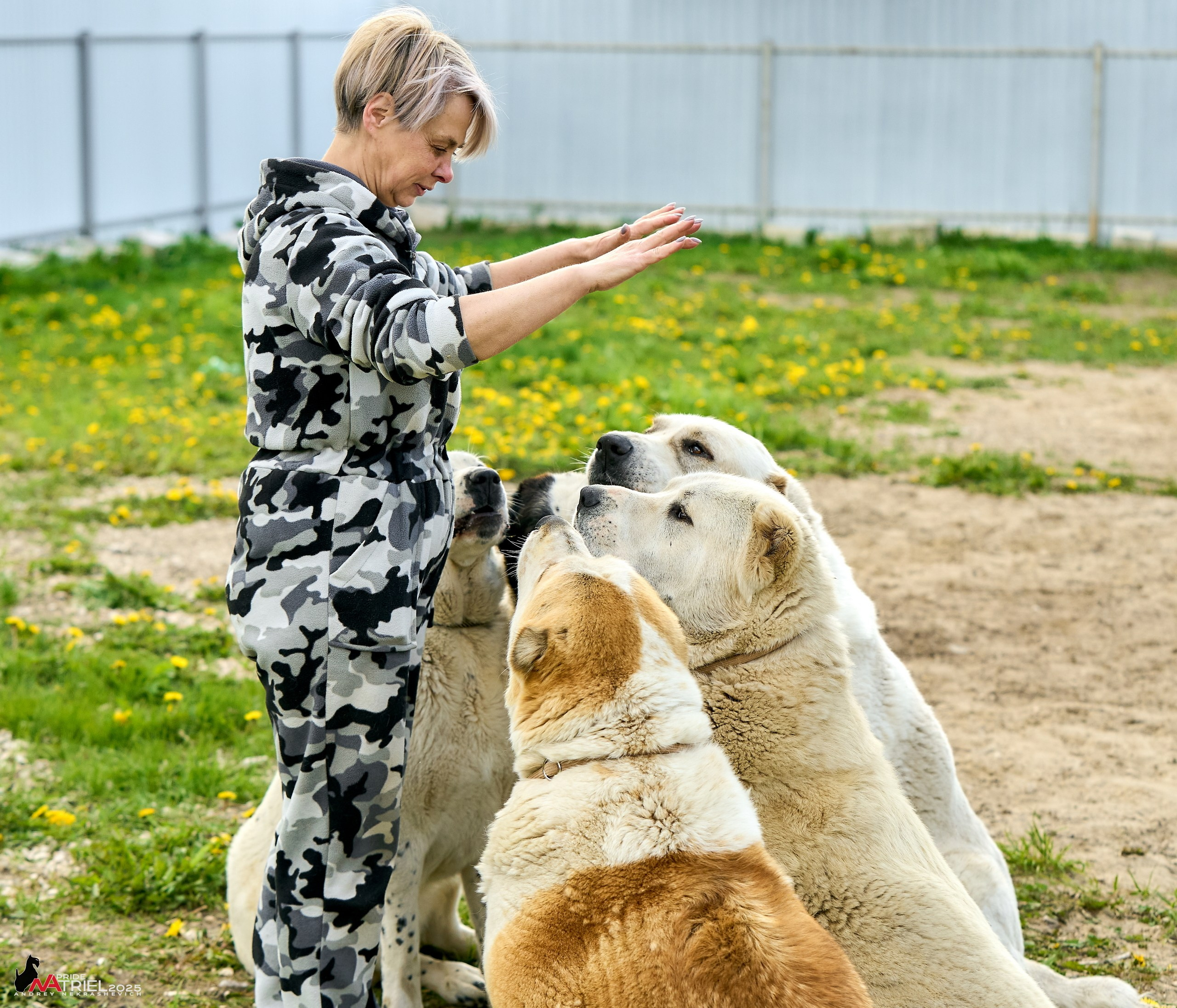 Съемка в питомнике