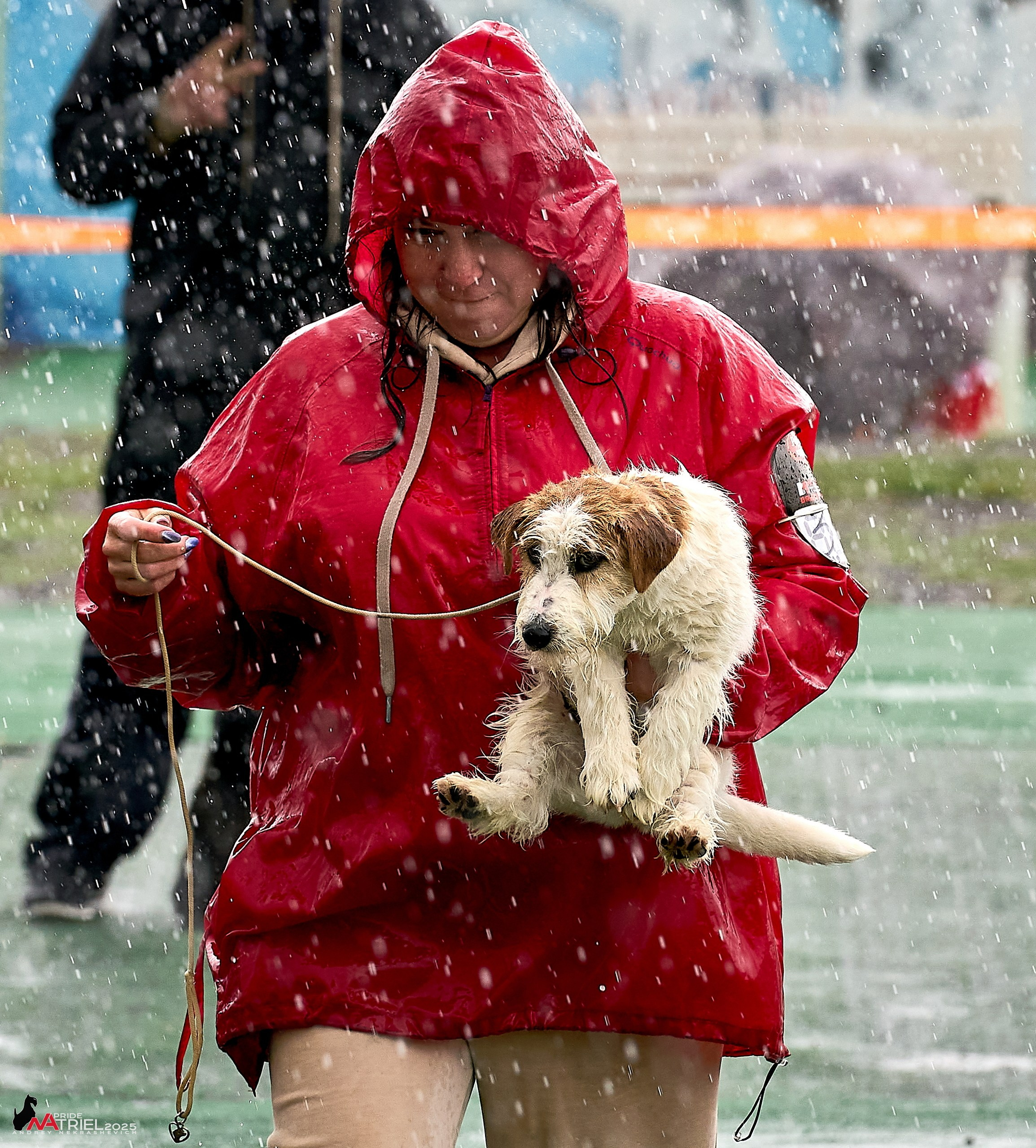 Репортаж с выставки собак