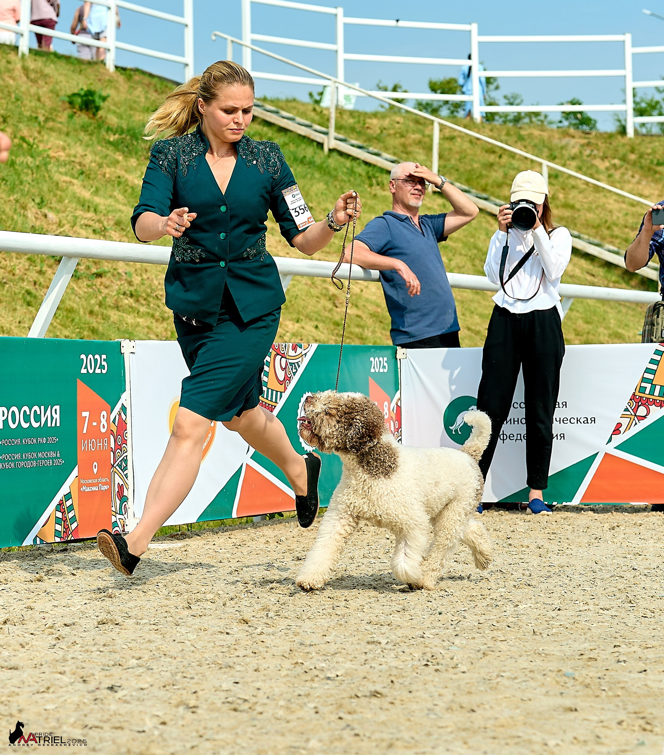 Выставка собак РОССИЯ — 2025