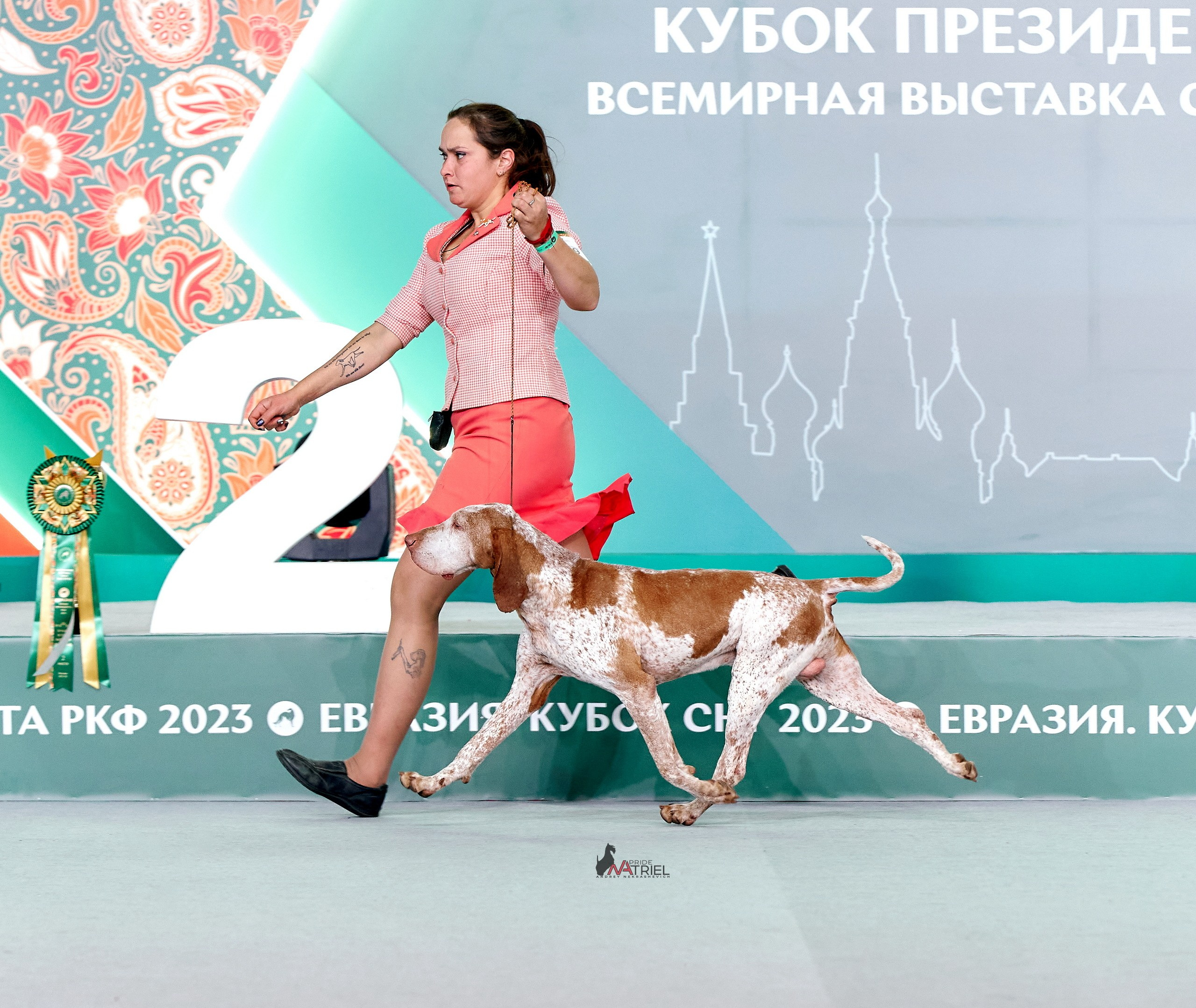 Работа в рингах — галерея NATRIEL