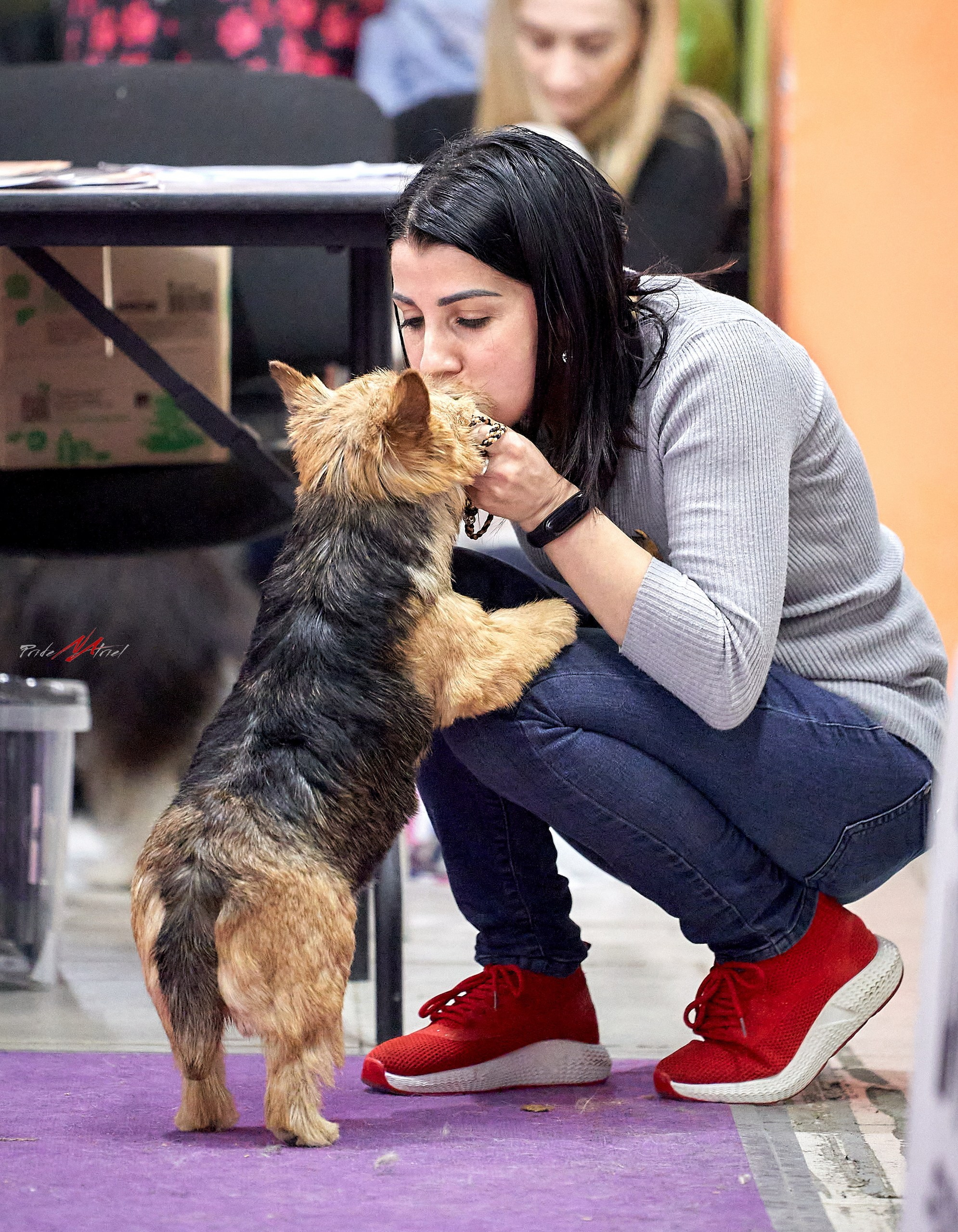 Собаки и Люди — галерея NATRIEL